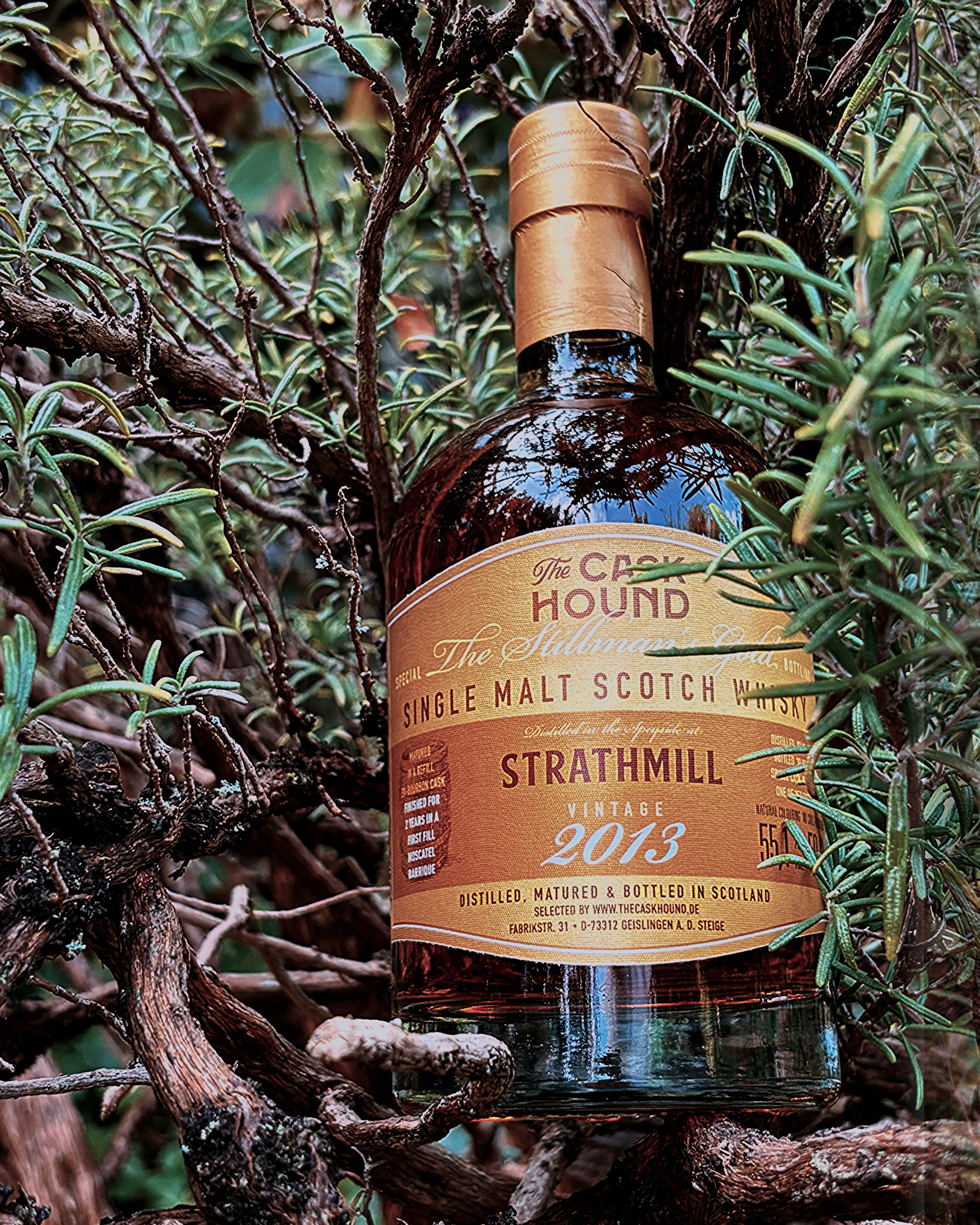 This Sunday in the glass: Strathmill 13 Year Old from @the_caskhound , part of the Stillman’s Gold series, bottled at 55.1% ABV
This bottle comes from a cask share I joined. The combination already sounded interesting on paper: 11 years in refill bourbon, followed by a full two years in a 1st Fill Moscatel cask. I haven’t had Strathmill in the glass very often, so I was naturally curious to see what would eventually come out of the cask.
For me, it starts bright and fruity with white grape and nectarine, plus a little vanilla. On the palate I get a sweet citrus note together with soft dried apricots and almonds. The finish stays slightly fruity with tobacco, chocolate and oak.
Have you ever joined a cask share?
Unpaid advertisement. Enjoy alcohol responsibly and only if you’re of legal drinking age.
_________________________
Diesen Sonntag im Glas: Strathmill 13 Jahrevon The Caskhound aus der Stillman’s Gold-Serie, abgefüllt mit 55,1% Vol.
Die Flasche stammt aus einer Fassteilung, bei der ich mitgemacht habe. Die Kombination fand ich schon auf dem Papier spannend: 11 Jahre Refill Bourbon und anschließend ganze zwei Jahre im 1st Fill Moscatel Fass. Strathmill hatte ich noch nicht so oft im Glas und entsprechend neugierig war ich natürlich darauf, was am Ende aus dem Fass kommt.
Für mich startet er hell und fruchtig mit weißer Traube und Nektarine, dazu etwas Vanille. Am Gaumen habe ich eine süße Zitrusnote zusammen mit Soft-Aprikosen und Mandeln. Im Finish bleibt er leicht fruchtig mit Tabak, Schokolade und Eiche.
Hast du schon mal bei Fassteilungen mitgemacht?
Unbezahlte Werbung. Alkohol nur ab gesetzlichem Mindestalter und in Maßen genießen.
#whisky #singlemalt #strathmill #speysidewhisky #moscatelcask