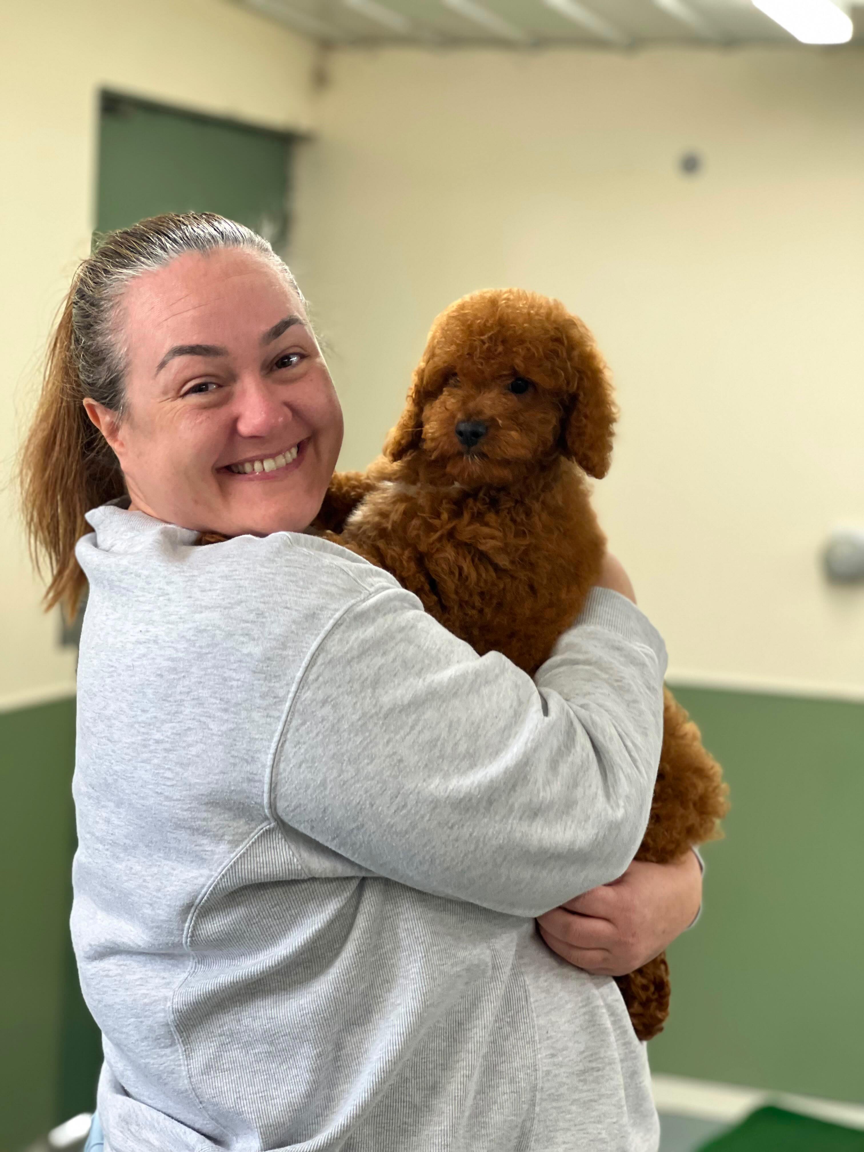 Tiani and her Cavoodle boy are the perfect duo of cuddles, cheekiness and pure joy 🐶✨.
This handsome little man is already stealing hearts with his sweet nature and playful spirit.
Raised with love and care at Puppies Downunder Source No: BR100575 he’s the kind of pup who turns every moment into a happy memory.
#CavoodleJoy #PuppyLove #FurBabyMagic #FutureBestMate #puppiesdownunder