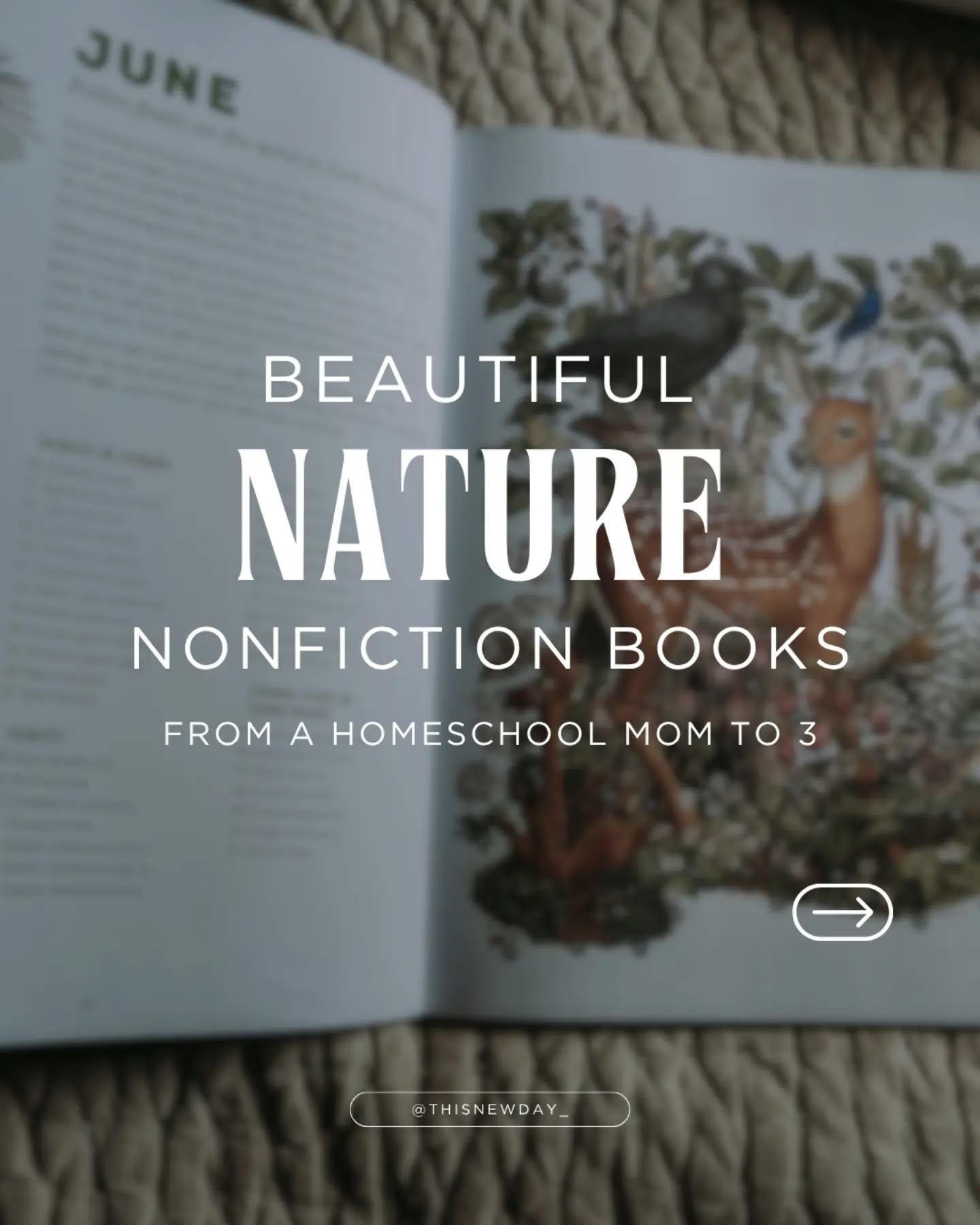 ππ½Do you have a favorite nature book?
There are so many beautiful and amazing books available that we enjoy using for nature study in our homeschool! π
Our most recent favorite is the First Revealed, following the activities of a forest throughout an entire year. π³
ππ½ Comment "NATURE" for my list of these books plus a bunch more!!
For more nature book suggestions, check out my #livingbooklegacy friend's posts:
@thisnewday_
@agoodbookhunt
@juiceboxhomeschool
@moraviapress
@treasuredhourbooks
@letthemlovelearning
.
#naturestudywithkids #naturebooks #naturepicturebooks
Homeschool mom | nonfiction books| nature books | nature study | whimsical nature books | homeschool family| living books |