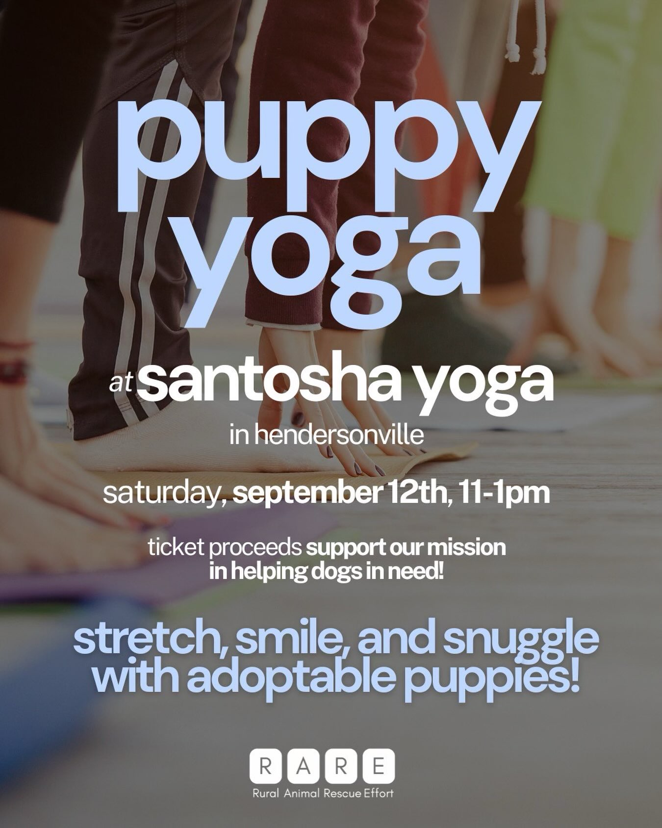 Puppy Yoga is back! 💙🧘♀️🐶
Join us at @santoshayoganashville in Hendersonville on Saturday, September 12 from 11 AM–1 PM for an afternoon of stretching, smiling, and plenty of puppy snuggles.
You’ll get to practice alongside some of our adoptable puppies, and ticket sales will help support RARE’s mission to rescue dogs and cats in need.
Come for the yoga, stay for the puppy kisses. We can’t wait to see you there!
Buy your tickets through Santosha Yoga’s website, linked in our bio and in stories!
#fosteringsaveslives #adoptdontshop #nashville #dogsofinstagram #fyp
