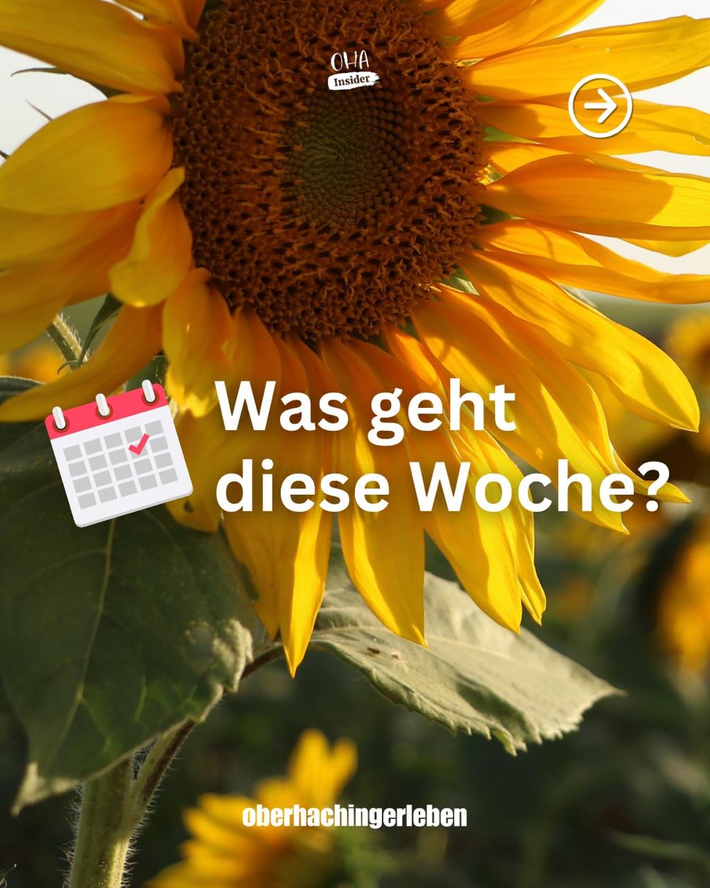 Was ist diese Woche in Oberhaching los?
Die Sommerferien sind noch in vollem Gange und deshalb bleibt es bei uns weiterhin etwas ruhiger. 🌿
Ein paar Termine gibt es aber trotzdem.
👉 Swipe durch unsere Slides und schaut, was diese Woche ansteht!
Wir wünschen euch eine schöne Woche!
#Oberhaching #Oberhachingerleben #GewerbeverbandOberhaching #EventsOberhaching #Sommerferien