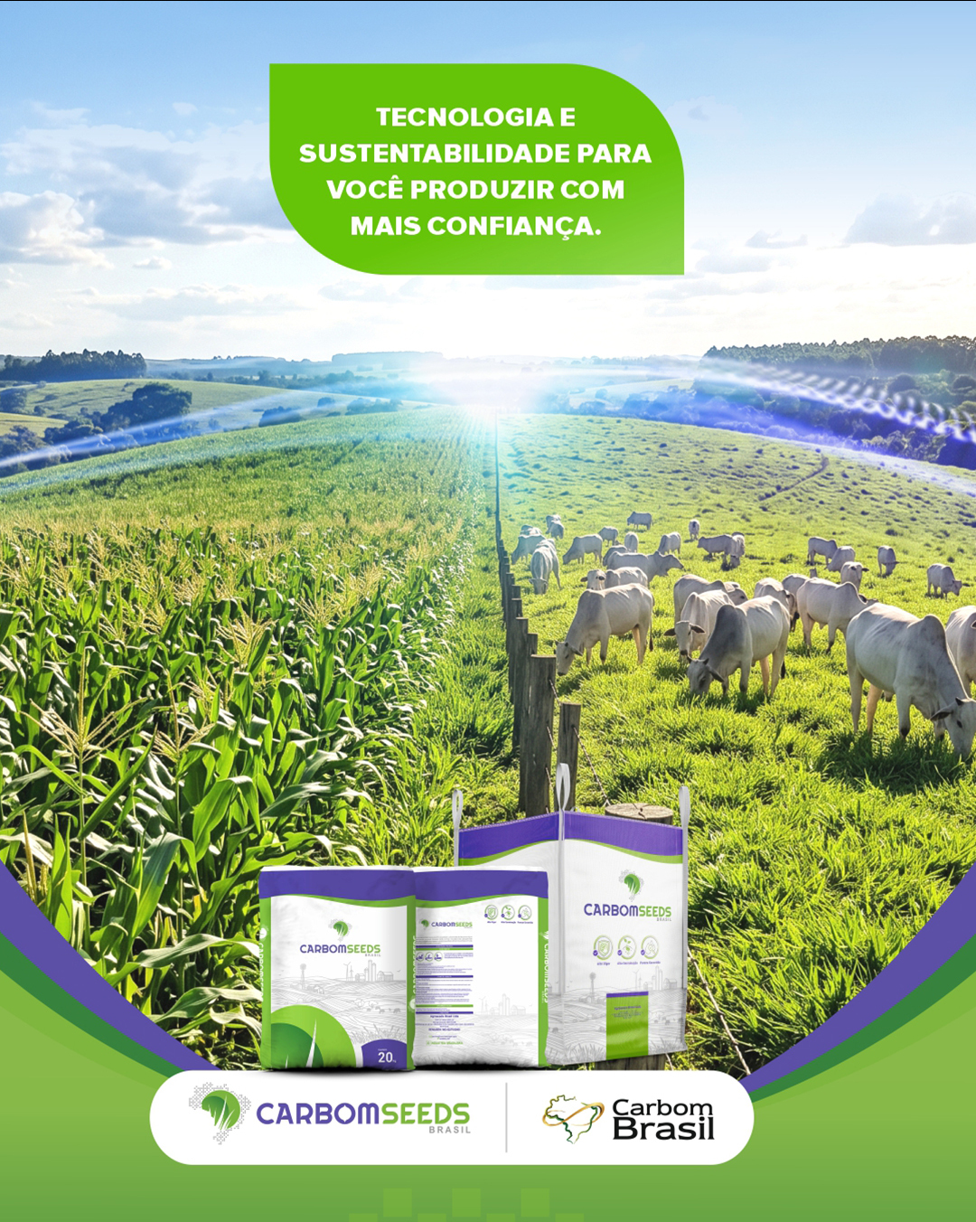 O futuro do agro exige eficiência e respeito ao meio ambiente. A Carbomseeds alia inovação na produção de sementes de brachiaria à sustentabilidade, oferecendo excelente adaptação ao sistema de Integração Lavoura-Pecuária (ILP). 🚜🐄🌳
Nossas soluções foram desenhadas para atender aos sistemas de rotação e produção mais exigentes do mercado, gerando palhada de qualidade, protegendo o solo e impulsionando a engorda do gado. 🔄🌾
👉 Otimize seu sistema de ILP com a melhor genética de brachiária. Envie uma mensagem e saiba mais detalhes!
#CarbomSeeds #CarbomBrasil #Brachiária #Sementes #Agronegócio
