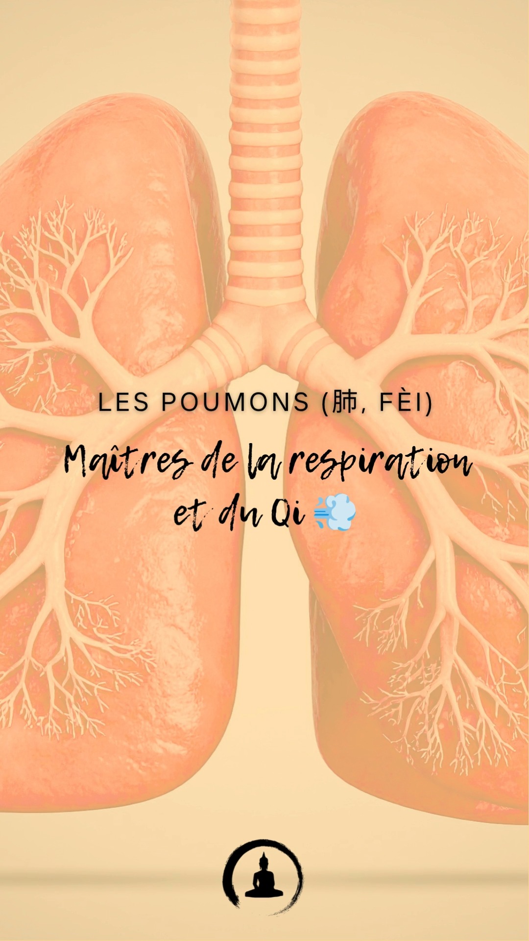 💨 Les Poumons (肺, Fèi) : Maîtres de la respiration et du Qi 💨
En médecine chinoise, les poumons jouent un rôle vital dans la régulation de l’énergie (Qi) et dans la connexion entre notre corps et l’environnement. Voici pourquoi ils sont essentiels à notre santé :
Fonctions principales des Poumons :
Contrôle de la respiration : Ils captent l'énergie vitale de l’air et distribuent cette énergie dans tout le corps.
Régulation du Qi et des liquides : Les poumons diffusent le Qi dans la peau et les muscles pour renforcer la défense naturelle contre les maladies (le Wei Qi).
Lien avec la peau et les émotions : Les poumons sont reliés à la peau et reflètent notre capacité à gérer les émotions, notamment la tristesse.
Quand les poumons sont en déséquilibre :
🌬️ Essoufflement ou respiration superficielle.
😷 Toux chronique, nez qui coule ou sécheresse de la peau.
🌧️ Tristesse ou mélancolie fréquente.
Comment prendre soin de vos poumons ?
1️⃣ Respiration profonde : Inspirez lentement en gonflant le ventre, puis expirez lentement pour calmer votre esprit et nourrir vos poumons.
2️⃣ Aliments qui soutiennent les poumons : Poire, radis blanc, miel, et gingembre pour hydrater et protéger.
3️⃣ Point d’acupression : Massez le point Taiyuan (P9), situé au poignet, pour renforcer vos poumons et améliorer la respiration.
4️⃣ Activités douces : Marchez à l’air frais ou pratiquez le Qi Gong pour fortifier votre énergie.
✨ Astuce bonus : Évitez l'air trop sec ou pollué et privilégiez les environnements humides ou l'utilisation d'un humidificateur.
💬 Partagez en commentaires : Quelle est votre pratique préférée pour prendre soin de vos poumons et de votre énergie ?
