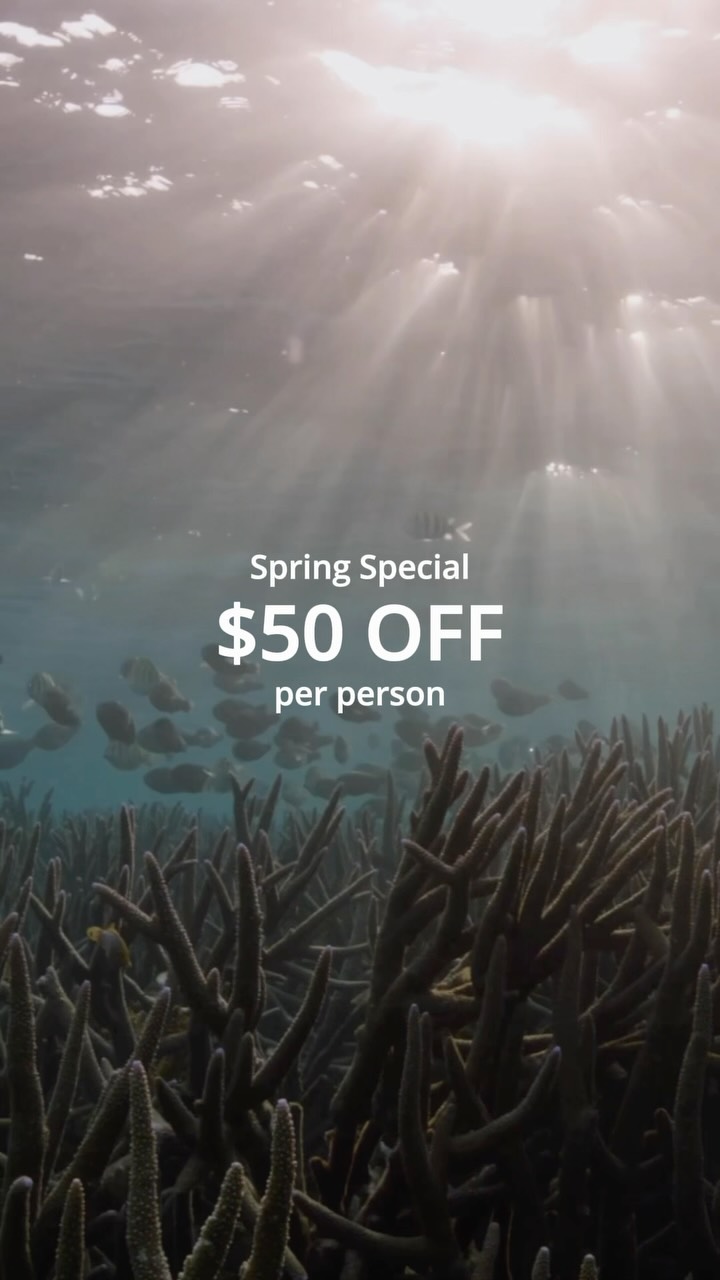 START OF SPRING SPECIAL! ✨
For a limited time, save $50 per person on our Coral Bay Exclusive full-day Ningaloo Reef experience.
Step aboard Wirraji, our electric vessel, and explore the reef in a small group, with the chance to snorkel alongside incredible marine life including manta rays, turtles and more.
Valid between:
Tours departing 1–25 September 2026
Use code SPRING50 when booking online
Your spring adventure is waiting.
#CoralBayExclusive #NingalooReef #CoralBay #MantaRays #ExploreWA