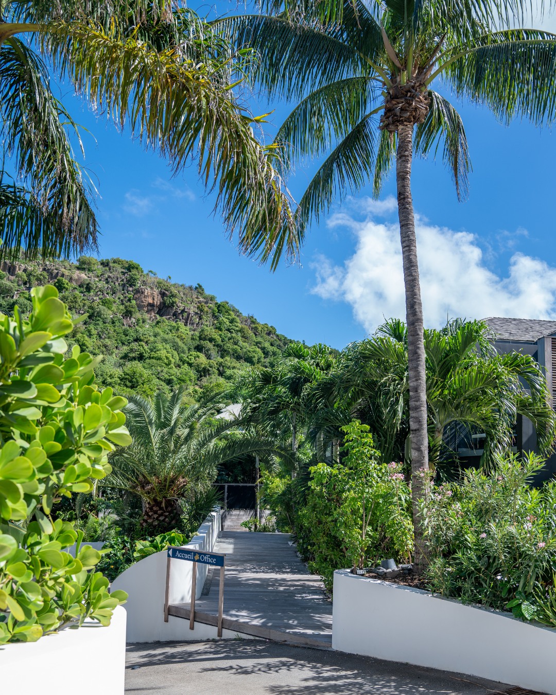 🇫🇷 Bien plus qu'un hébergement, une adresse où chaque séjour prend une autre dimension.
Entre élégance, intimité et douceur de vivre, profitez pleinement de l'art de vivre à Saint-Barth.
___ ___
🇬🇧 More than a place to stay, a destination where every escape feels exceptional.
Blending elegance, privacy, and island living, discover the true art of living in St. Barth.
#revedesaintbarth #stbarth #luxurystay #vacation #caribbean