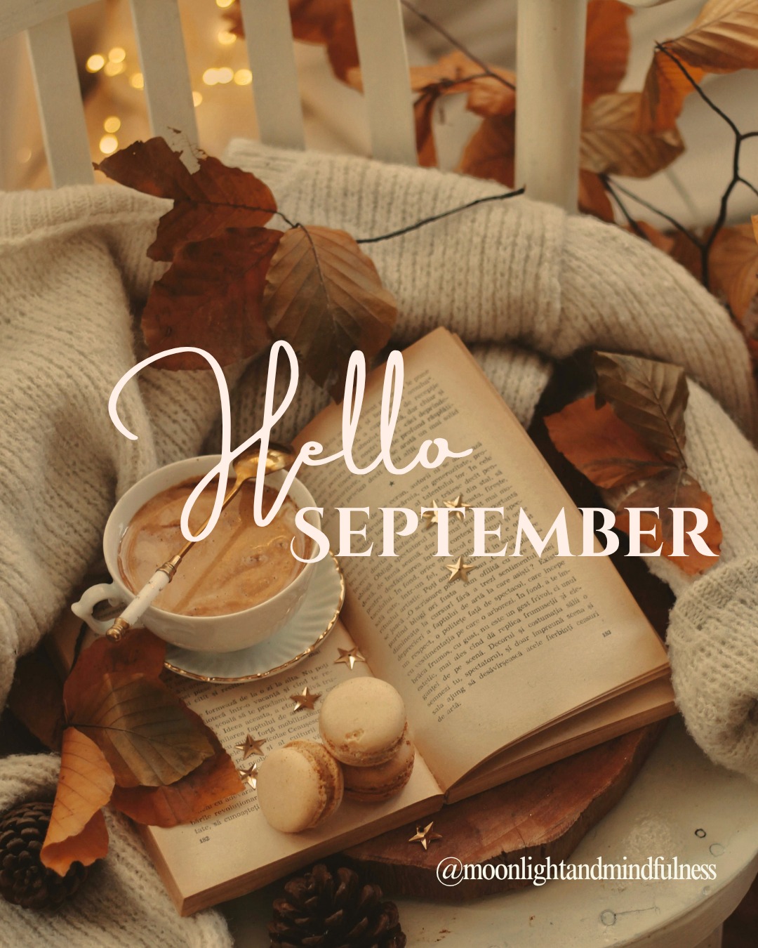🍁 Welcome September, my second favorite month of the year (first is October of course)!
🍁 I hope you take a moment today to reflect on the months that have passed, to think about intentions you want to set for Autumn, and to blow cinnamon in your doorway to invite in abundance and prosperity this month.
🍁 What are you looking forward to the most this September?
#welcomeseptember #september #helloseptember #cozyautumn #septembervibes