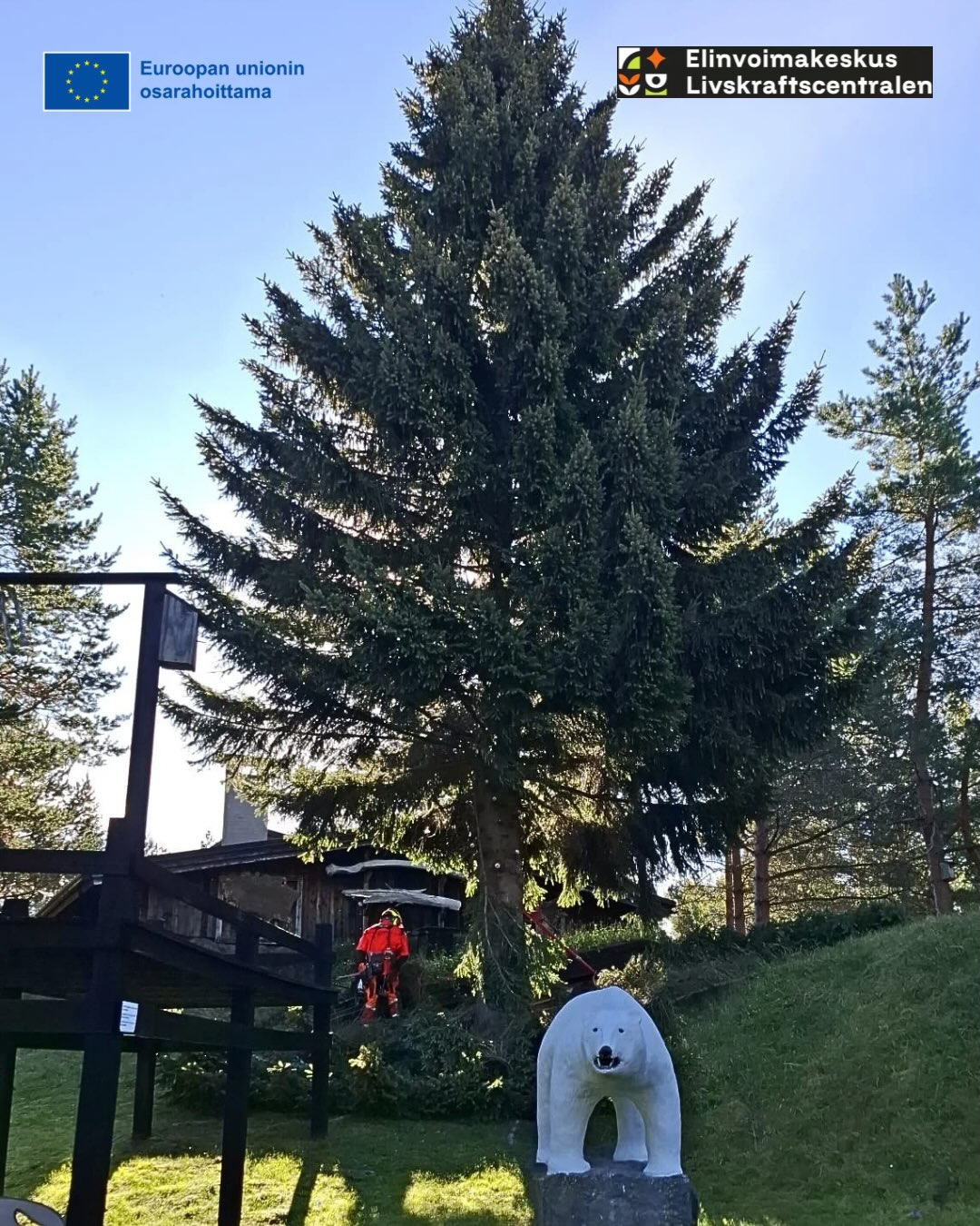🇸🇪 Före - TIMBER - Efter!
Nanoq har börjat förbereda inför byte av värmesystem som sker under hösten 2026. Värmesystemet i museets huvudbyggnad kommer att konverteras till fossilfri bergvärme.
Förberedelserna inför projektet inleddes redan för flera år sedan. Våren 2026 beslutade museets styrelse att genomföra projektet. En förändring av värmesystemet är alltid ett omfattande projekt. Inför det praktiska genomförandet har bygglov sökts, leverantörer konkurrensutsatts, behovet av förändringar på gårdsområdet på grund av projektet planerats och, framför allt, stöd för energiomställningen sökts och beviljats från Livskraftscentralen samt EU:s landsbygdsfinansiering. Stödet täcker 80 % av projektets kostnader.
Förändringen av värmesystemet är ett viktigt steg för Nanoq museum mot en hållbar och klimatklok framtid 🍃
🇫🇮 Ennen - TIMBER! - Jälkeen
Nanoq on aloittanut valmistelut syksyllä 2026 toteutettavaa lämmitysjärjestelmän vaihtoa varten. Museon päärakennuksen lämmitysjärjestelmä muutetaan fossiilivapaaseen maalämpöön.
Hankeen valmistelu on aloitettu jo useita vuosia sitten. Keväällä 2026 museon hallitus päätti lähteä toteuttamaan hanketta. Lämmitysjärjestelmän muutos on aina mittava projekti ja ennen varsinaista toteutusta on haettu rakentamislupa, kilpailutettu toimittajat, suunniteltu piha-alueen muutostarpeita projektin vuoksi ja ennen kaikkea haettu ja saatu tukea energiamuutokseen Elinvoimakeskukselta ja EU:n maaseuturahoitusta 80 % hankkeen kustannuksista.
Lämmitysjärjestelmän muutos on Nanoqille tärkeä askel kohti kestävää ja ilmastoviisasta tulevaisuutta 🍃
🇬🇧 Before - TIMBER! - After
Nanoq Museum has started preparing for a major energy renovation in autumn 2026. The heating system in the main building will be replaced with fossil-free geothermal heating.
The project has also received funding from the Centre for Economic Development, Transport and the Environment (ELY Centre) and EU rural development funding, covering 80% of the project costs.
The new heating system is an important step towards a more sustainable and climate-smart future for Nanoq Museum 🍃