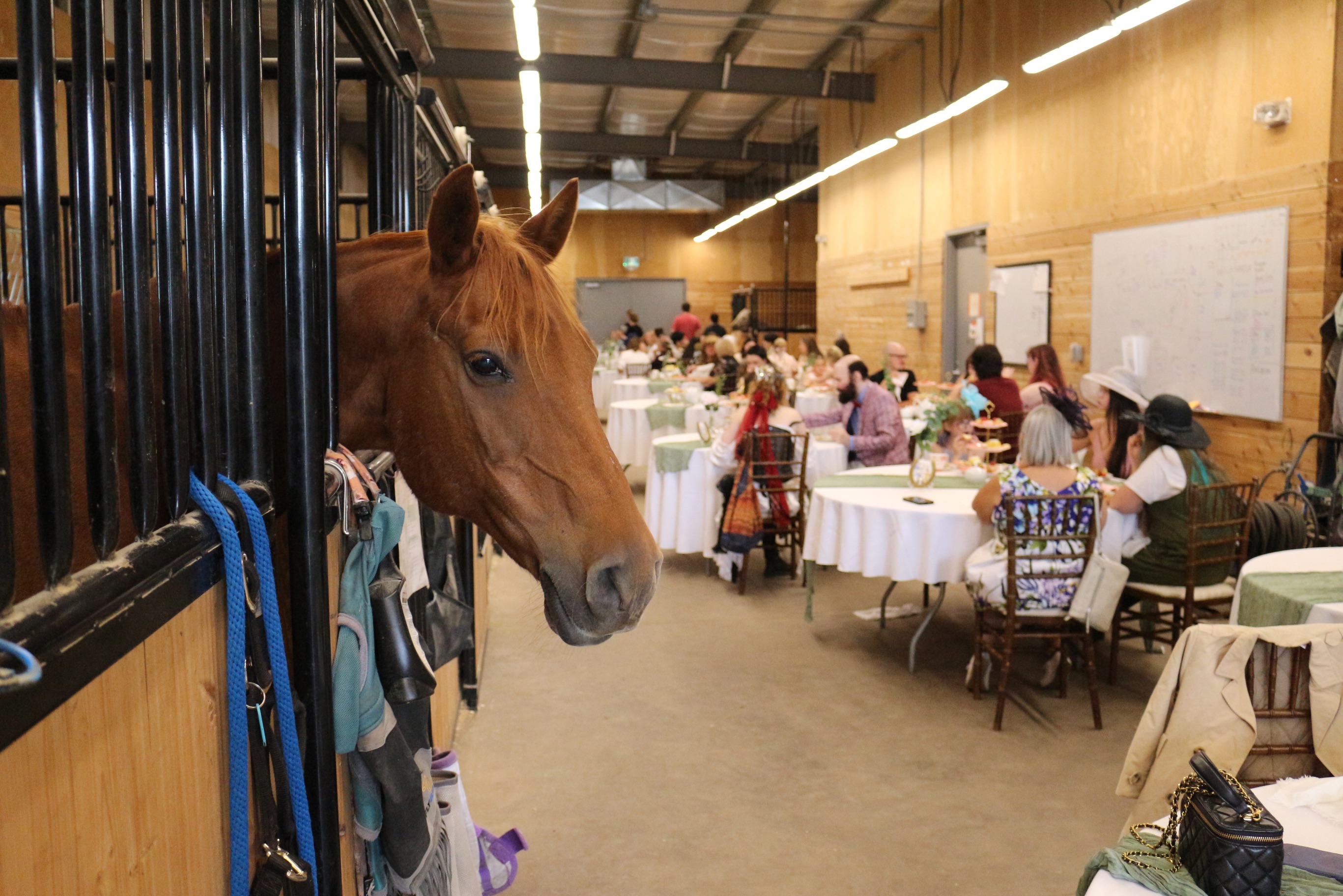 We had so much fun at our first official Horse High Tea on Sunday! The horses, tea, treats and amazing outfits made for a wonderful afternoon!
Shoutout to @cafe.bel.air for catering this event and providing delicious goodies for everyone to enjoy!
Keep an eye out for our next Horse High Tea event!
#yegevents #yegfamily #yegfun #yegactivities #yegrivervalley