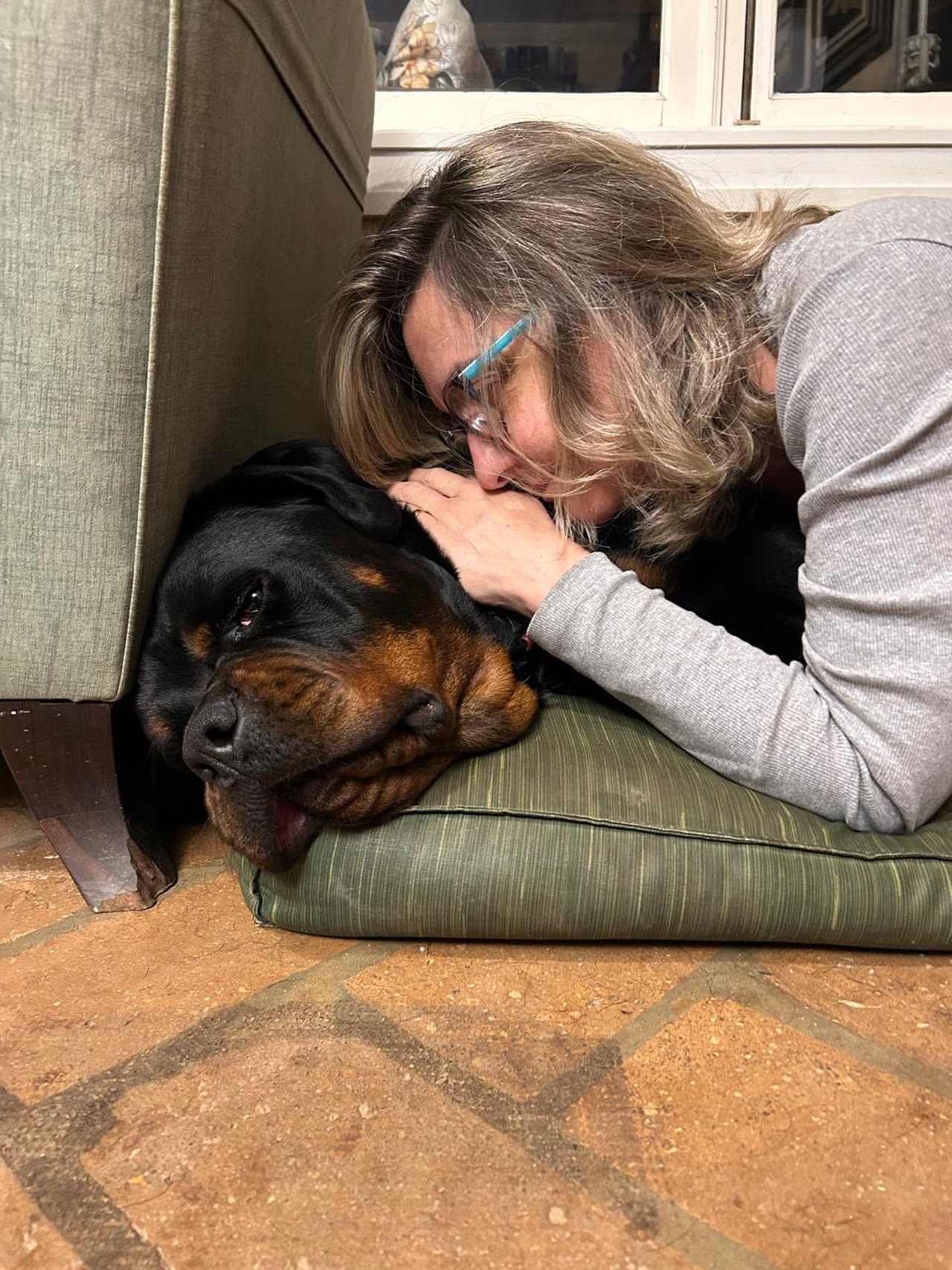 Darwin tentando dormir 🐾 nosso bebê já fez 1 ano e está com 50 kg.