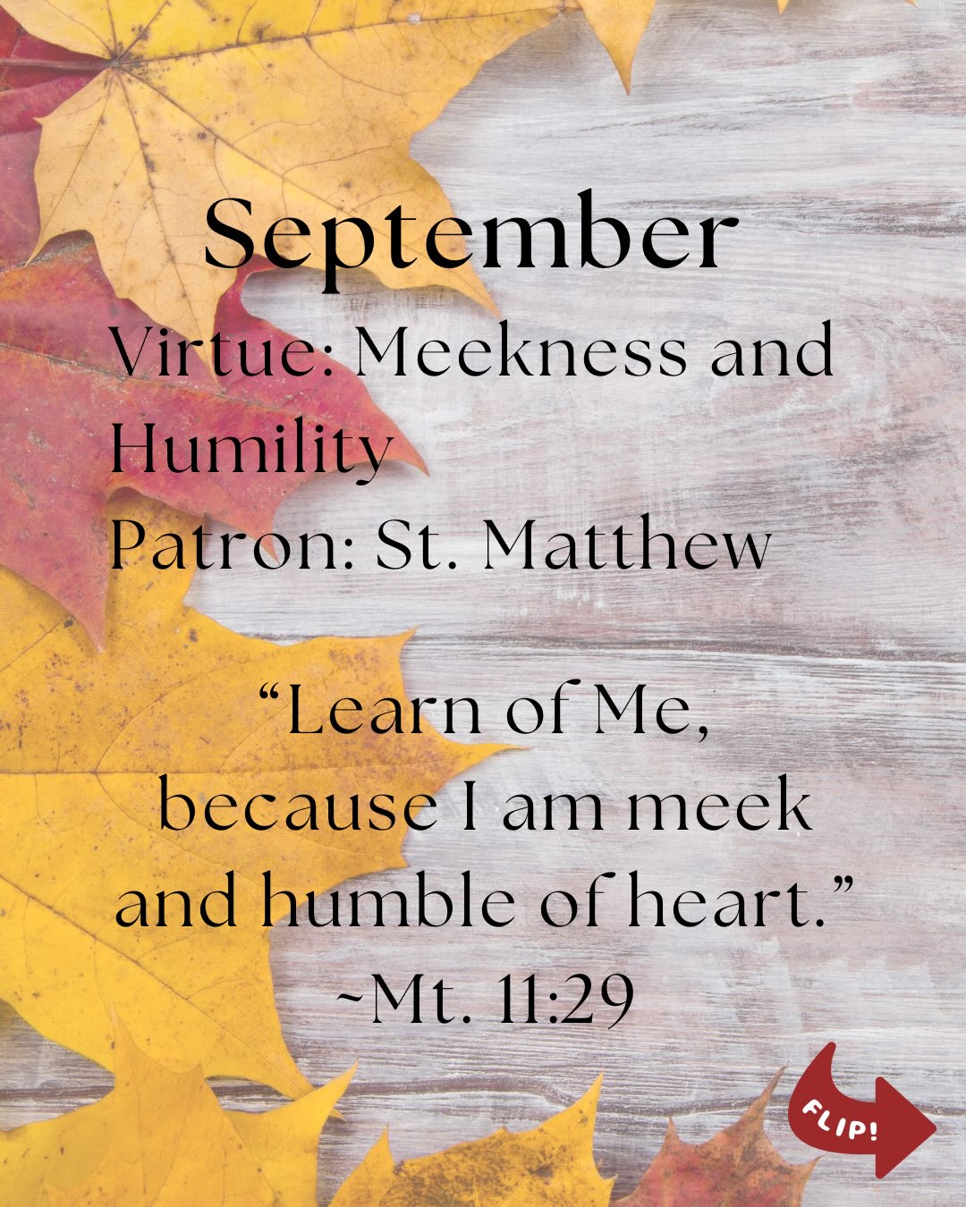 Septemberโs IHM Virtue is Meekness & Humility of Heart โLearn from me, because I am meek and humble of heart.โ โ Matthew 11:29 ๐This month, letโs draw closer to the Heart of Jesus by practicing meekness and humility in the ordinary moments of our day. Swipe for 3 practical ways to begin. @ihmimmaculata