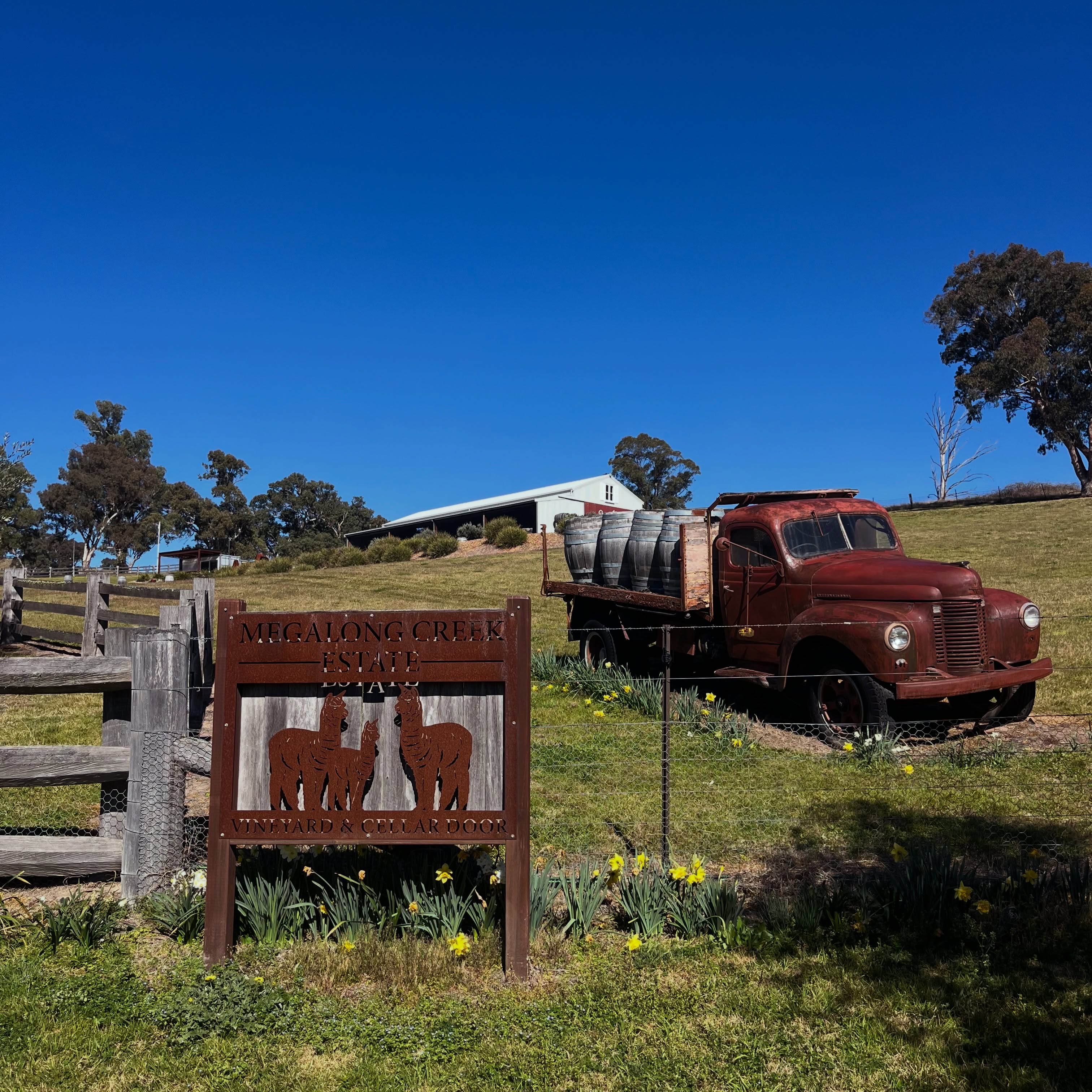 Spring has sprung at Megalong Creek Estate! 🌱🍇
The vines are waking up, fresh shoots are bursting through, and a new vintage begins. 🌿☀️
#megalongcreekestate #bluemountainsnsw #bluemountainsvineyard #bluemountainswine #megalongvalley