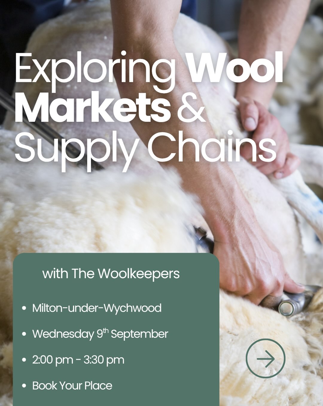 Could wool become a more valuable part of your farm business?
For many farms, wool has become a cost rather than a meaningful source of income. But could different markets and stronger supply chains begin to change that?
On Wednesday 9 September, we’re welcoming @thewoolkeepers for a dedicated session exploring current and future opportunities for British wool.
The Woolkeepers are taking a different approach to the wool market, working with British farmers to create fairer, more stable pricing, greater traceability and new routes to market.
We’ll hear more about how their model works, the new wool collection point within our Cluster area and the opportunities for local farms to get involved.
Whether you’re looking for an immediate market for your wool or simply considering the opportunities for the future, come along and find out more.
📍 Milton-under-Wychwood Village Hall
📅 Wednesday 9 September
⏰ 2.00pm - 3.30pm
Free for registered Cluster farmer members.
Book via the link in our bio ⬆️
#BritishWool #SheepFarming #SupplyChains #RegenerativeFarming #FarmerCollaboration