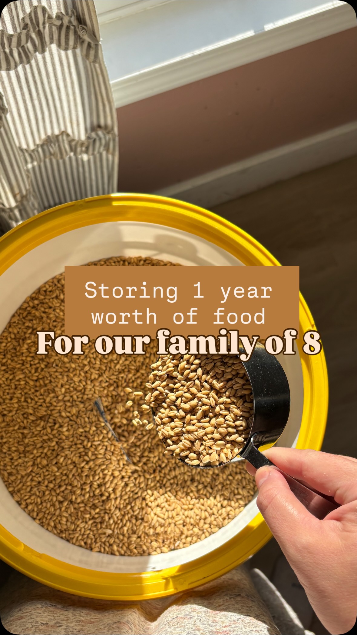 Food storage for my family of 8
As I work on inventory and seeing where we are at as we enter into September I thought I would share this again with y’all.
We order bulk from naturally a deal and Azure Standard. For a link to make a free account just comment BULK & I’ll send it your way
#fromscratch #bulk #food #foodstorage