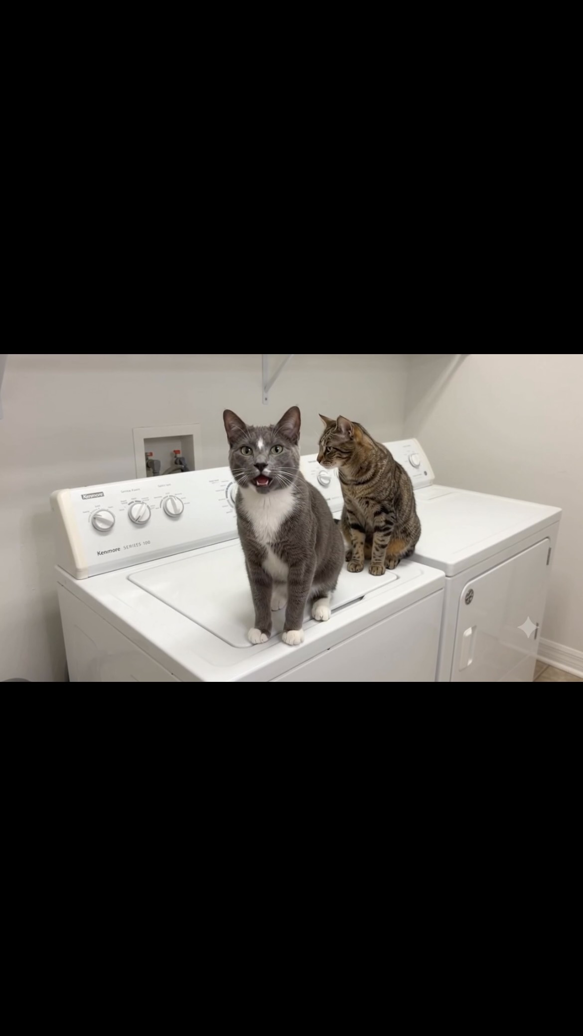 @kenmoreappliances