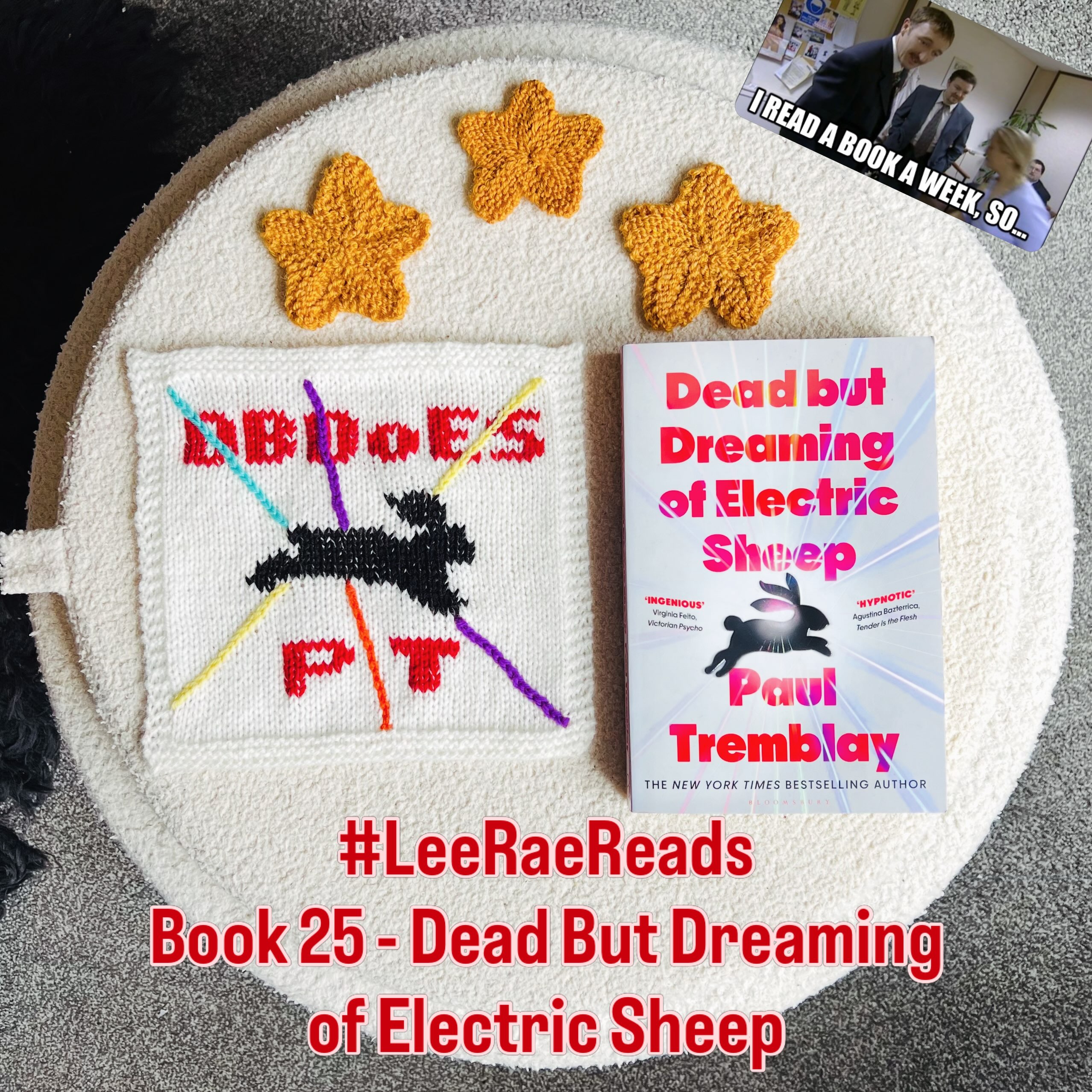 📕 BOOK 25 - Dead But Dreaming of Electric Sheep by Paul Tremblay
📖 During the first real-world trial of remote-control corpses, psychological horror abounds as the inbuilt AI wrestles with the remnants of the man who once was. Meanwhile, the woman tasked with piloting the experiment struggles with both the job at hand and its moral implications.
💭 I really enjoyed the core themes of this book, but to be honest, I felt the more overly-conceptual parts were lost on me and getting through certain chapters began feeling like a chore. Oddly enough, I actually did enjoy the shifts into second-person perspective, which seems to be the most divisive aspect judging by other reviews.
3 stars: ⭐️⭐️⭐️
🧶 Knitting Notes: 39x50 stockinette square with a 4-row/3-stitch garter border. Duplicate stitch details with chain stitch lines.