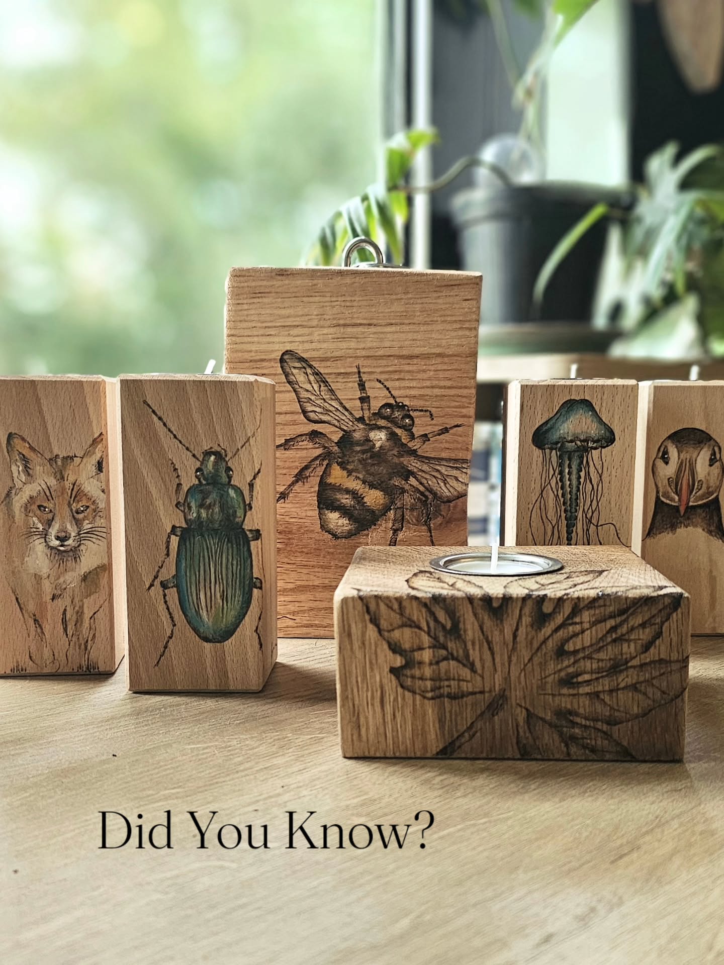 Did You Know?
They all these little beauties are coming with me to the new shop! Opening at Stokeley Farm Shop on Monday. I'll be bringing all my latest work and some old favourites with me to fill this fab store all of next week.