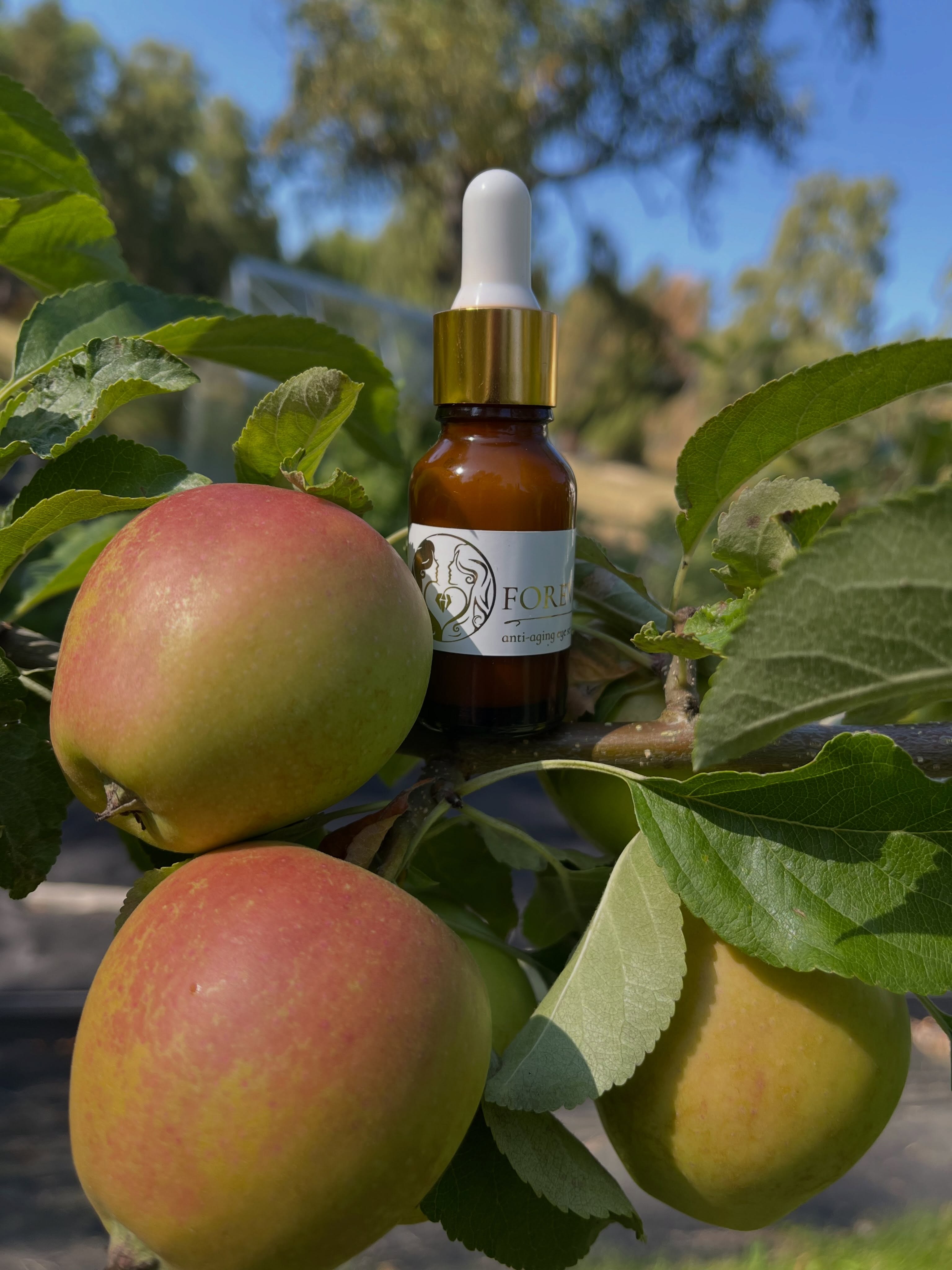 đżâ¨Kind of chic that I replaced my chemical-heavy skincare with 100% botanicals⌠and ended up with better results. đżâ¨
Turns out, botanicals really do it better.
#CleanBeauty #NaturalSkincare #SkinHealth #GlowingSkin #ConsciousBeauty