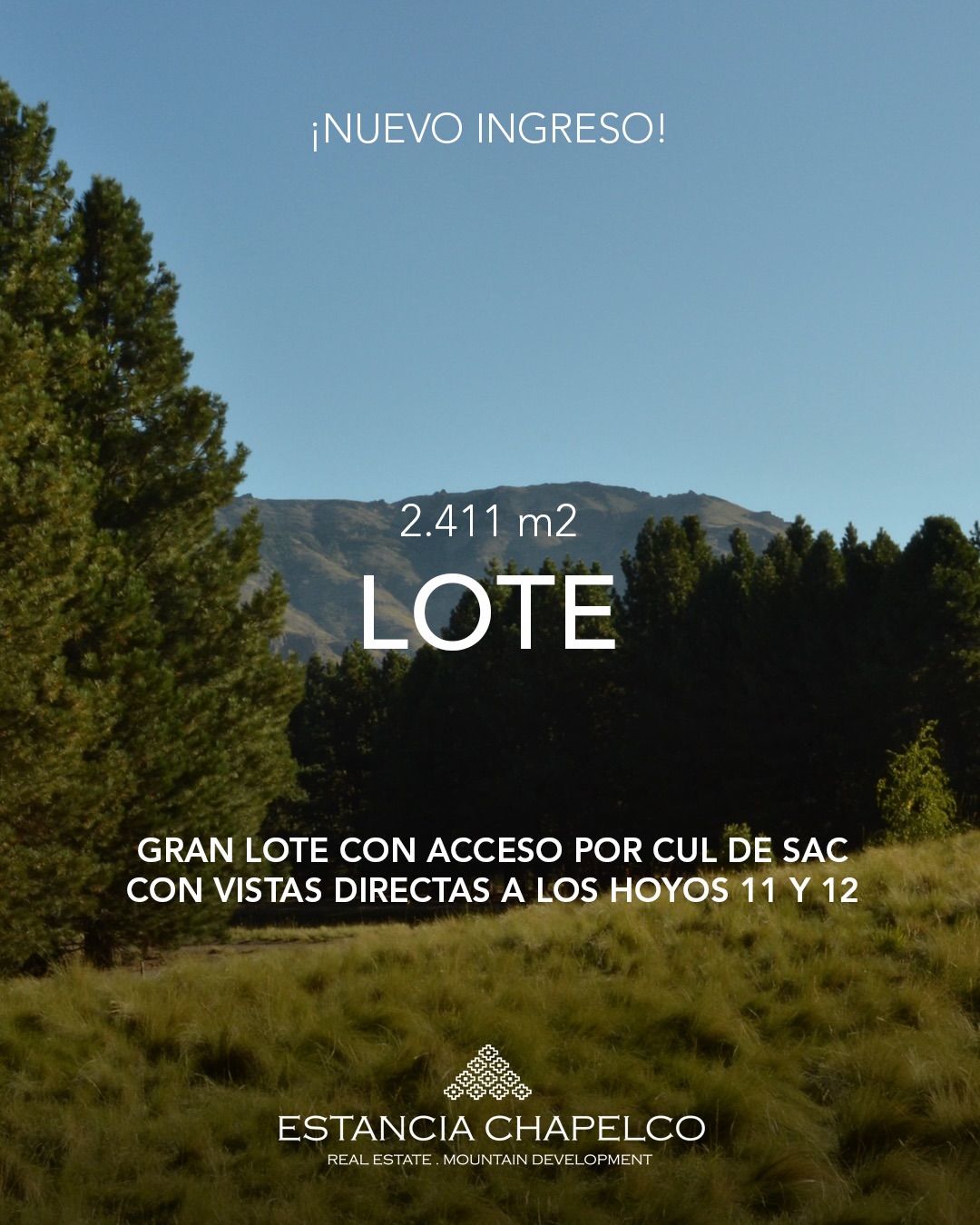 📌¡NUEVO INGRESO!
Lote de 2.411 m2 con vistas directas a los hoyos 11 y 12 y a la laguna.
▫️Inmejorable ubicación con acceso por cul de sac.
▫️Polígono ideal para planificar la construcción de una propiedad con grandes visuales de proyección desde los jardines hacia el campo de juego.
INVERTIR EN CHAPELCO GOLF & RESORT ES INVERTIR EN UN ESTILO DE VIDA
Chapelco Golf & Resort.
Privacidad, seguridad, servicios de primer nivel y la naturaleza como escenario cotidiano.
📩 Consultanos para más información:
info@estanciachapelco.com.ar
Estancia Chapelco, empresa desarrolladora y comercializadora de Chapelco Golf & Resort.
#estanciachapelco #chapelcogolfyresort #patagoniabienesraices #loteenventa #departamentoenventa