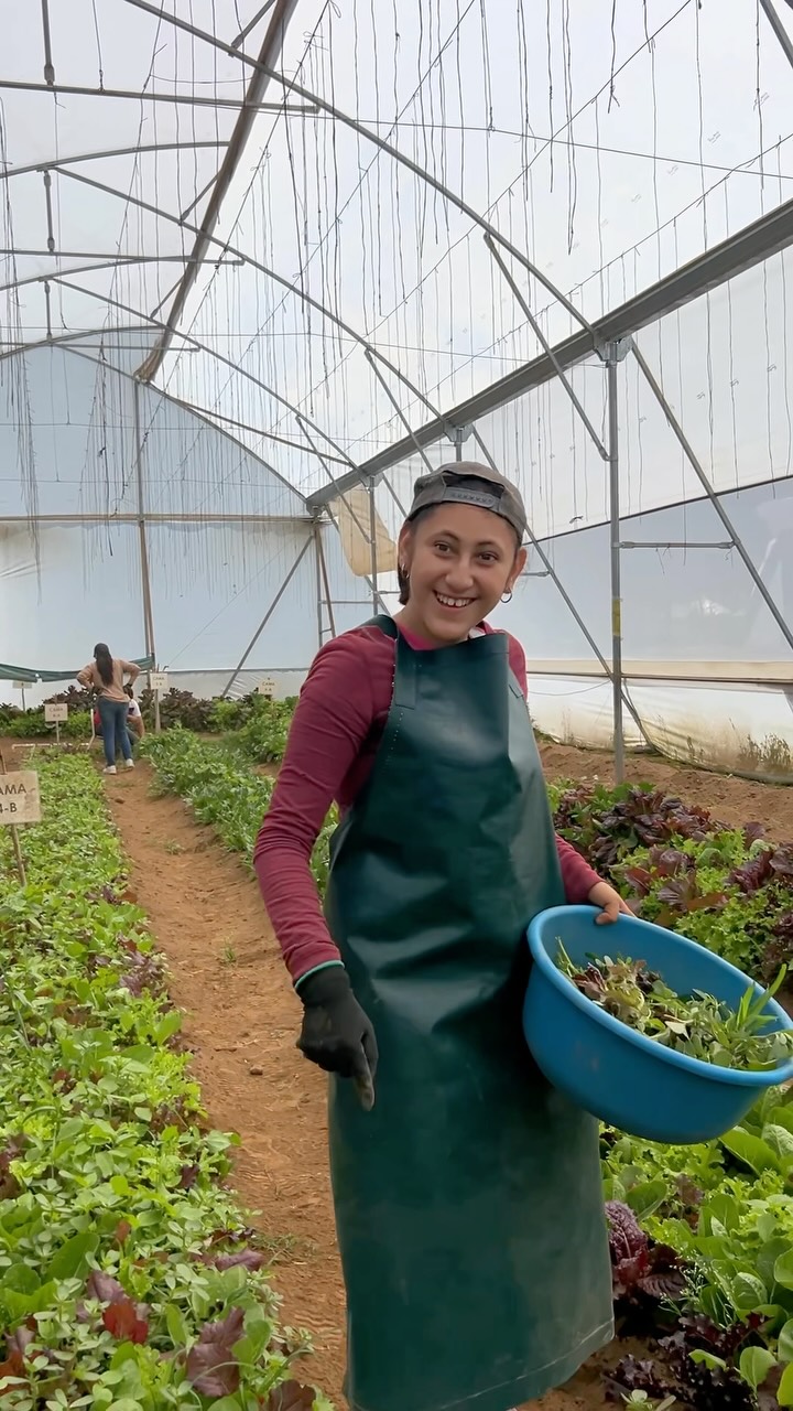 Horticultura, jardinería, cocina y limpieza son mucho más que actividades. Son espacios donde nuestros siete participantes desarrollan responsabilidad, confianza, constancia y habilidades para desenvolverse fuera de Kalimori. Cada uno avanza a su manera, pero todos trabajan hacia una mayor autonomía.
Conoce sus historias y acompaña su camino hacia la independencia en www.kalimori.org