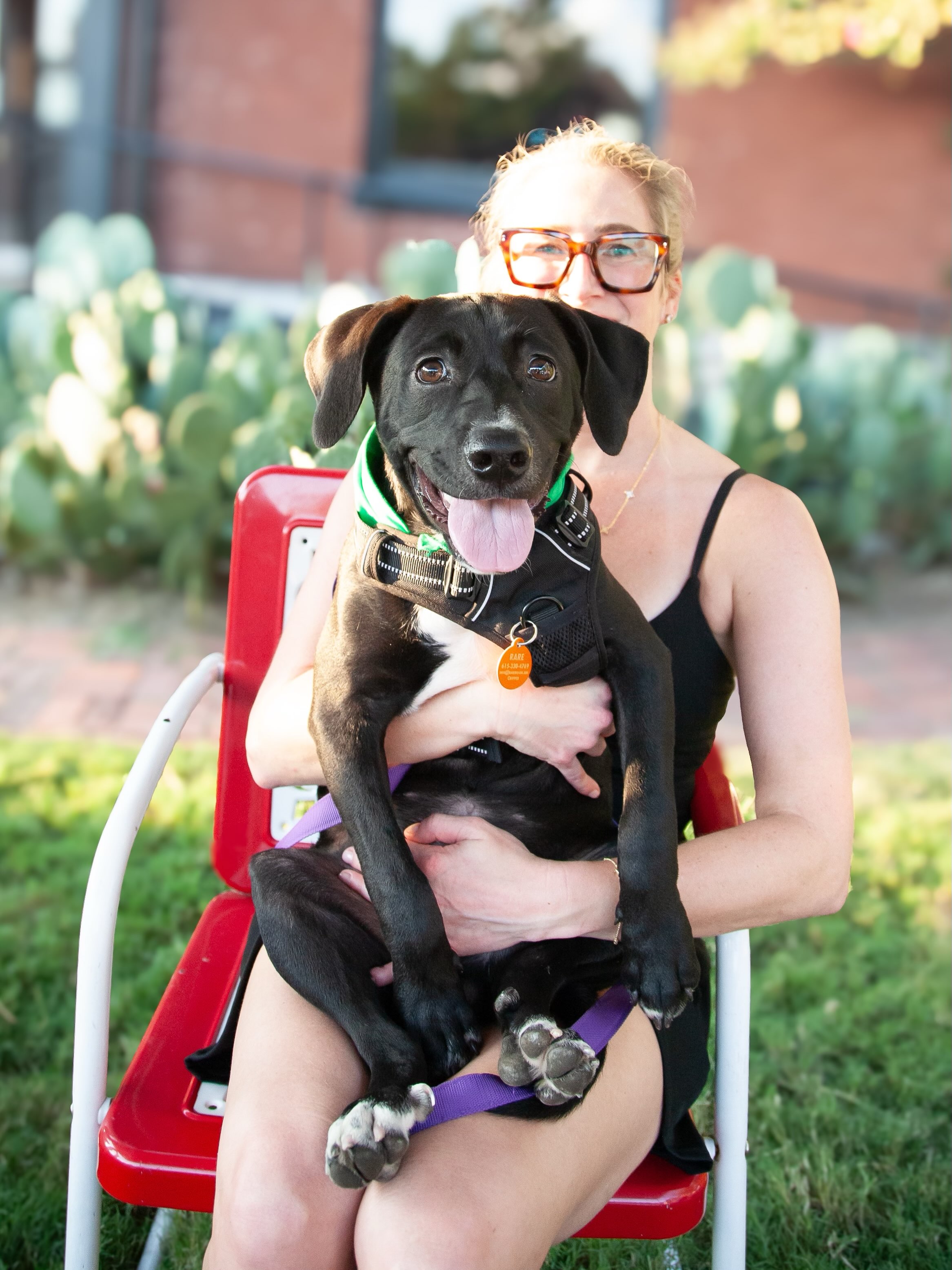 Meet Carl 💙
Carl is part of our Love Island litter, and this boy is confident, playful, goofy, and ready for an adventure.
He spent the first few months of his life in a rural pound, so getting to experience life on the outside has been a pretty big deal. And Carl is making up for lost time. He loves to explore, play with his puppy friends, and get right in the middle of whatever is going on.
He also wants to be everyone’s best friend. Carl is incredibly social, affectionate, and a big fan of giving kisses. He is great with dogs, cats, and kids, making him a wonderful fit for so many different kinds of families.
Carl is:
-Confident and curious
-Playful and full of personality
-Great with dogs, cats, and kids
-Affectionate and very generous with kisses
-Adventurous and eager to explore
-Absolutely loving life outside the pound
Like any young puppy, Carl will need continued socialization, potty training, basic manners, enrichment, and training as he grows.
He has already come so far from the puppy who knew only the inside of a pound. Now he’s ready for a family who will show him just how big and wonderful his world can be.
Fill out an adoption application at rarerescue.org today!
#fosteringsaveslives #adoptdontshop #nashville #dogsofinstagram #fyp