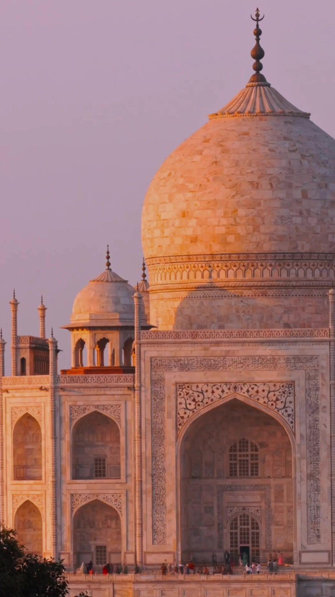 India is one of those destinations where how you travel can completely transform the experience.
Palace hotels once home to royalty. The Taj Mahal at sunrise. Wild tigers in Rajasthan. Extraordinary food, vibrant cities, quiet countryside, and centuries of history and tradition woven into everyday life.
For a first trip, thoughtful planning matters. The right guides bring the stories to life. The right routing makes a vast country feel manageable. And the right pace balances India's energy with moments of calm.
Done well, India isn't overwhelming. It's captivating, and one of the most rewarding journeys we plan.
Would India be on your travel list?
#AWorldWithinReach #SmartFlyer #VirtuosoLtd #IndiaTravel #Rajasthan #LuxuryTravelAdvisor #AsiaTravel #LuxuryIndia #CulturalTravel