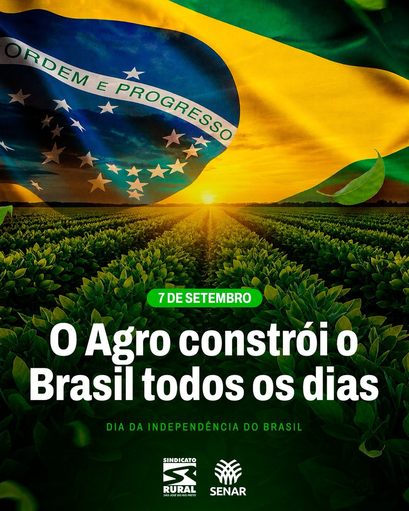 No campo, milhões de brasileiros fazem parte dessa construção. São produtores que cultivam a terra, enfrentam desafios, geram alimentos, empregos, renda e contribuem para movimentar a economia brasileira.
Neste 7 de Setembro, o Sindicato Rural de São José do Rio Preto celebra a nossa história e homenageia todos que, com trabalho e dedicação, ajudam a construir um Brasil cada vez mais forte.
Que o orgulho de ser brasileiro também se traduza em orgulho de quem produz.
Feliz 7 de Setembro!
Telefone: (17) 3232-5115⠀
Site: www.sindicatoruralsjrp.com.br
#SindicatoRuralSJRioPreto #IndependênciaDoBrasil #Agro #ProdutorRural #SãoJoséDoRioPreto