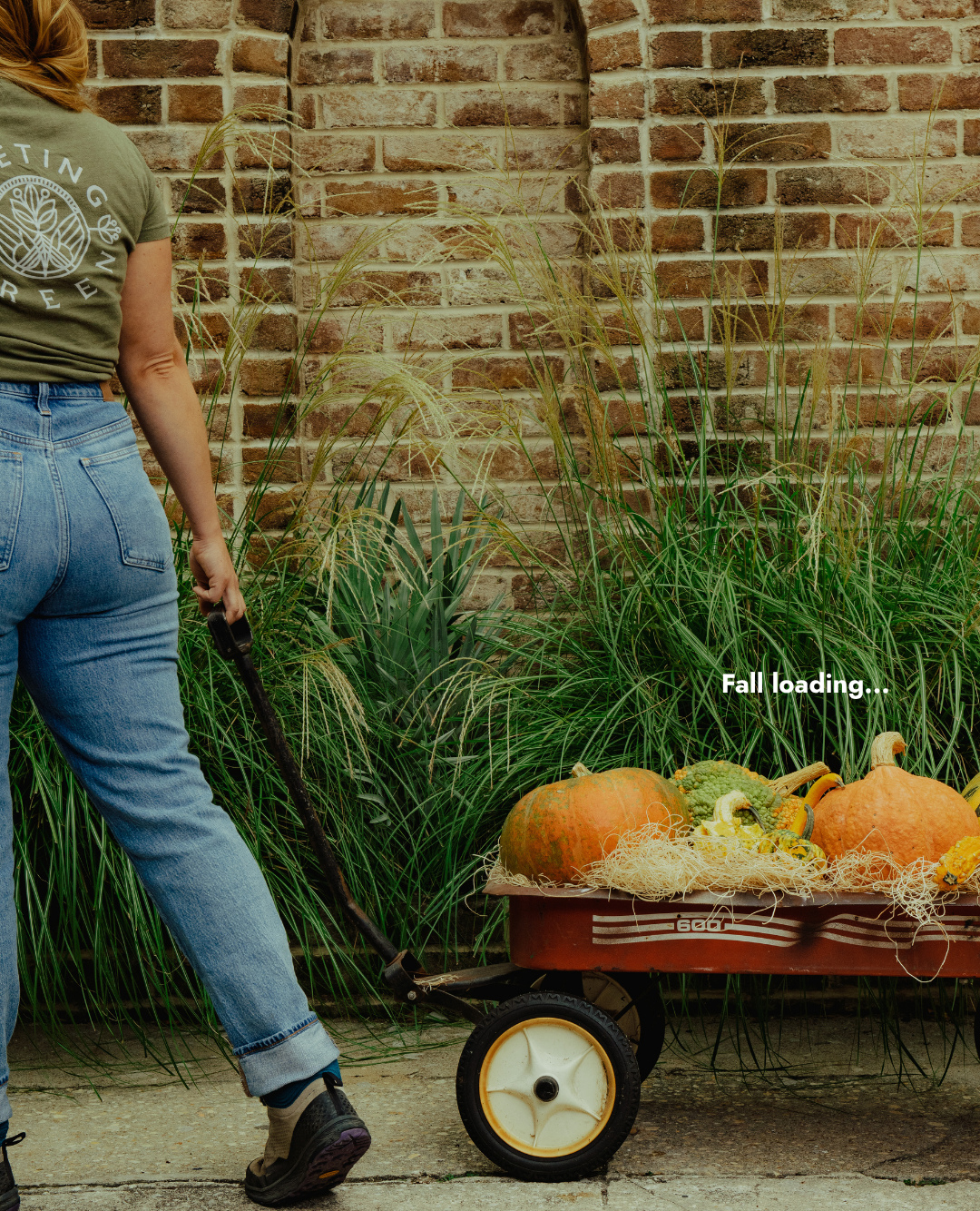 The countdown is ON! We're only about three weeks away from our favorite fall arrival... pumpkins! 🎃
Mark your calendars for the weekend of September 26th and get pumped for pumpkin season! From classic carving cuties to warty weirdos, we'll have everything you need to get your front porch ready for fall.
