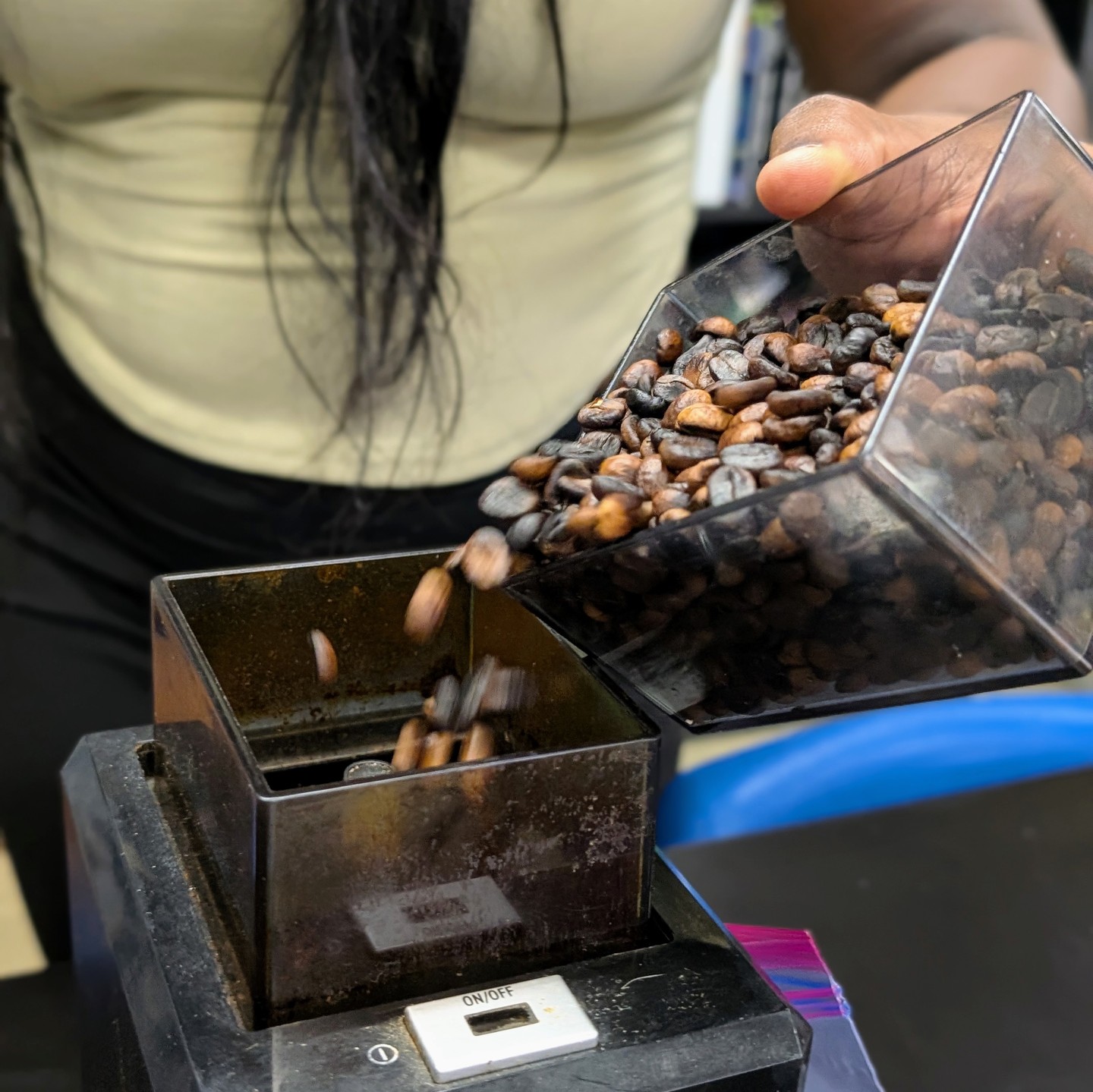Last week’s coffee cherry harvest led to a very fresh pot of coffee for some of our faculty members! After students harvested the cherries, which were then dried and roasted, the finished beans made their way into the coffee maker for a faculty taste test. From cherry to cup, our students experienced the process of producing coffee firsthand, and their lucky teachers got to enjoy the delicious results!
#coffeeharvest #studentexperience