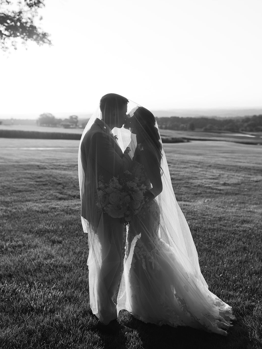 1 year straight of crying over this perfect day & our beautiful bride @alexandra_allman in @martinalianabridal 🤍
It’s photos like this that make us pause— that unmistakable look of real, honest love that makes a wedding day feel like a dream. It’s a reminder of how human & enduring this tradition is.
And why it all means so much to us: finding the perfect person, the perfect flower, the perfect dress to honor this level of magic.
Because truly nothing is more powerful in all of history than two people in love.
Happy anniversary, love birds 💌
Venue: @drumoreestate
Photographer: @lilymorganphoto
Makeup: @theaimeenicolemua @aimeenicoleproteam
Hair: @wb_upstyles
Videographer: @timelesspv @knockonwoodard
Florist: @sandraporterfieldfloral
DJ: @kokobrosentertainment
Aesthetician: @nicoleco.esthetics @_nicoleco
Coordinator: @marnie.halosandhorseshoes
Content Creator: @onceuponherday
Dress: @amandaritcheybridalloft