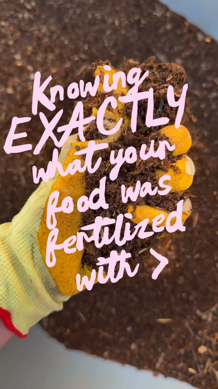 And that’s on composting 👏
🪱
#localfoods #composting #sustainablegardening