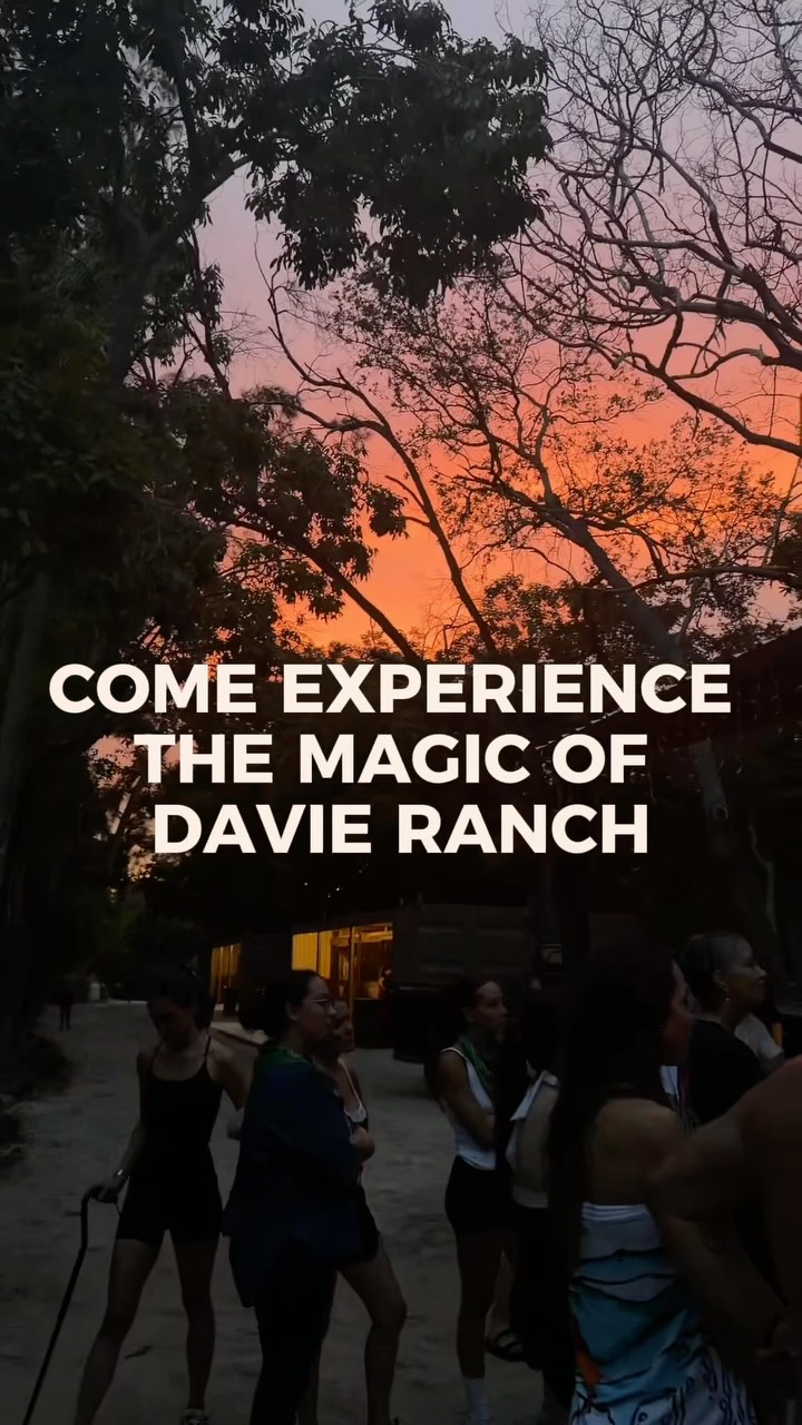 🐴🤎 THERE’S SOMETHING ABOUT HORSES THAT YOU HAVE TO EXPERIENCE FOR YOURSELF.
At Davie Ranch, our horses are more than part of the scenery—they’re part of what makes every visit so special.
Come meet some of our beautiful horses, discover their unique personalities, and experience those simple moments of connection that make ranch life unforgettable. 🌿✨
Whether it’s your first time around horses or they already hold a special place in your heart, we’d love to welcome you to Davie Ranch and share this experience with you.
🐴 Come meet them.
🌿 Connect with nature.
🤎 Create beautiful memories.
📲 Ready to experience Davie Ranch? Contact us today to learn more about our programs and experiences.
#DavieRanch #HorseExperience #MeetOurHorses #RanchLife #horselovers