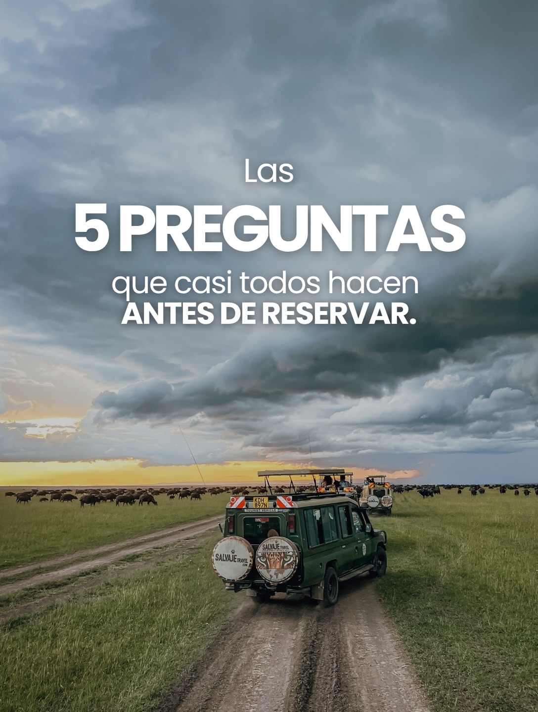 Antes de viajar, es normal tener preguntas. ¿Con quién voy? ¿Quién me acompaña? ¿Qué incluye realmente el viaje?
En Salvaje Travel creemos que tener claridad también es parte de la aventura. Por eso, reunimos las 5 preguntas que más recibimos antes de reservar, con respuestas concretas sobre grupos, acompañamiento, tipo de experiencia y lo que incluye cada viaje.
Desliza y resuelve tus dudas antes de partir. 🌍
¿Tienes otra? Escríbenos por DM.