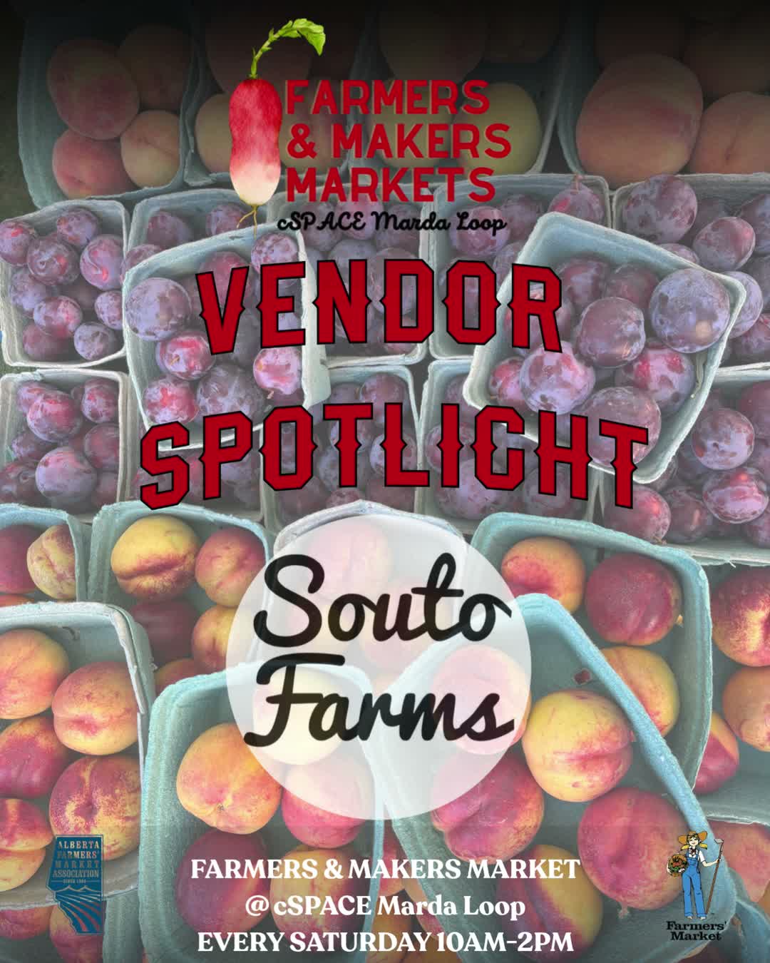 There’s something special about a market booth run by family, and Souto Farms brings that in spades! We’re proud to have them as one of our vendors — if you’ve been to the market before, you know we work hard to feature local producers who do things right, and Souto Farms is a perfect example.
Stop by their booth at the market to find fresh veggies from their Airdrie farm, along with juicy BC stone fruit and berries from their partner farm in Abbotsford! This is exactly the kind of continued partnership that makes our market worth showing up for.
A few facts about Souto Farms:
• It’s a true family affair — the parents own the farm in BC, while their kids run the farm in Airdrie
• Their veggies come straight from the Airdrie farm, their stone fruit comes from BC, and they partner with a berry farm in Abbotsford to round it all out
• You can visit the Airdrie farm Thursday to Sunday, just 30 minutes outside of Calgary — check out their big red barn farm store, grab a treat at the little ice cream shack, wander the straw maze, play at the playground, or feed the animals!
Come check them out at the Farmers and Makers Market every Saturday from 10am to 2pm this summer! @soutofarms
#FarmersAndMakersMarket #ShopLocal #SupportLocal #SoutoFarms #Calgary #Airdrie #FamilyFarm #LocalMarket #MakersMarket #FarmFresh #farmersmakersmarket #canadianfarmers🇨🇦