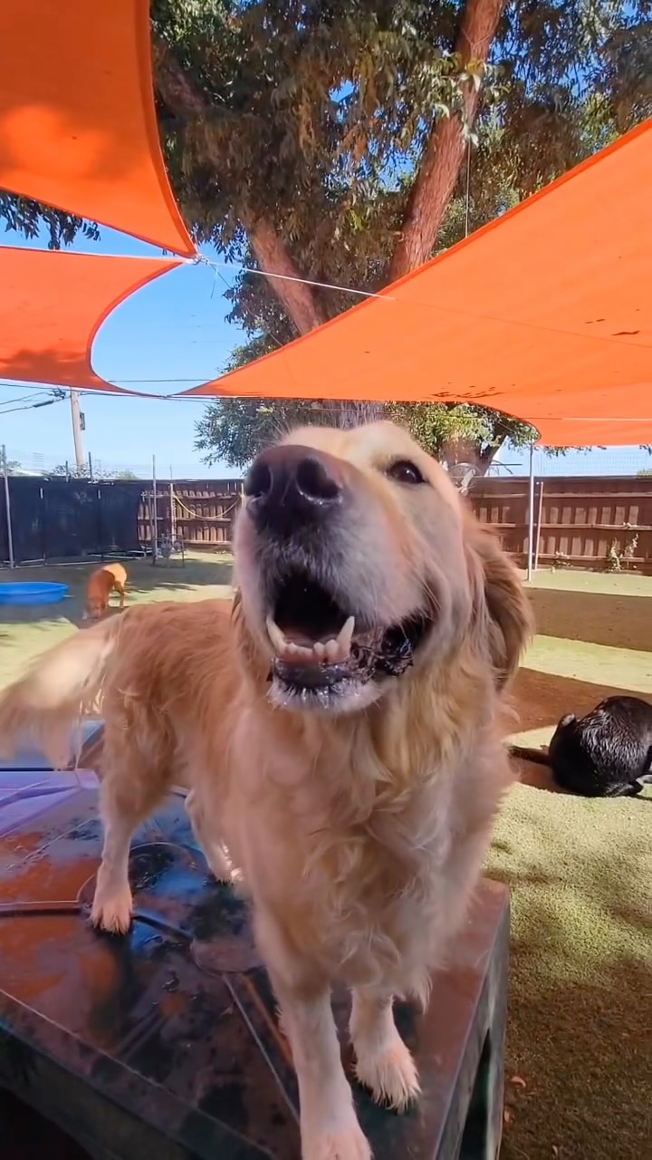 Cant believe summer is over!! We will miss our pool days so much!