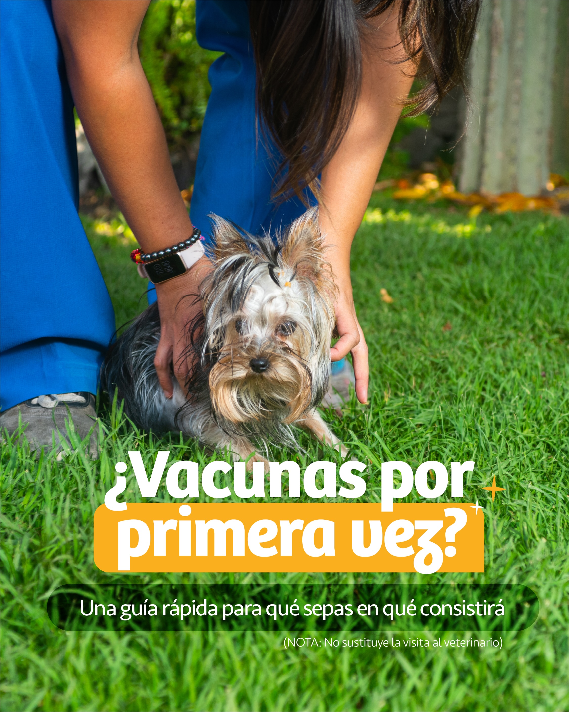 Las primeras vacunas son mucho más que un requisito: son el inicio de una vida protegida. 🐶🐱💉
Durante los primeros meses de vida, el sistema inmunológico de los cachorros y gatitos aún se está desarrollando. Por eso, seguir un esquema de vacunación adecuado es una de las medidas más importantes para prevenir enfermedades que pueden comprometer su salud.
Recuerda que el esquema de vacunación puede variar según la especie, la edad, el estilo de vida y la valoración médica de cada paciente, por lo que siempre debe ser indicado por un médico veterinario.
📍 Hospital Veterinario de Especiales Bruselas, Coyoacán, CDMX
📲 55 5415 4278
#vacunacion #medicinapreventiva #cachorros #gatitos #saludanimal