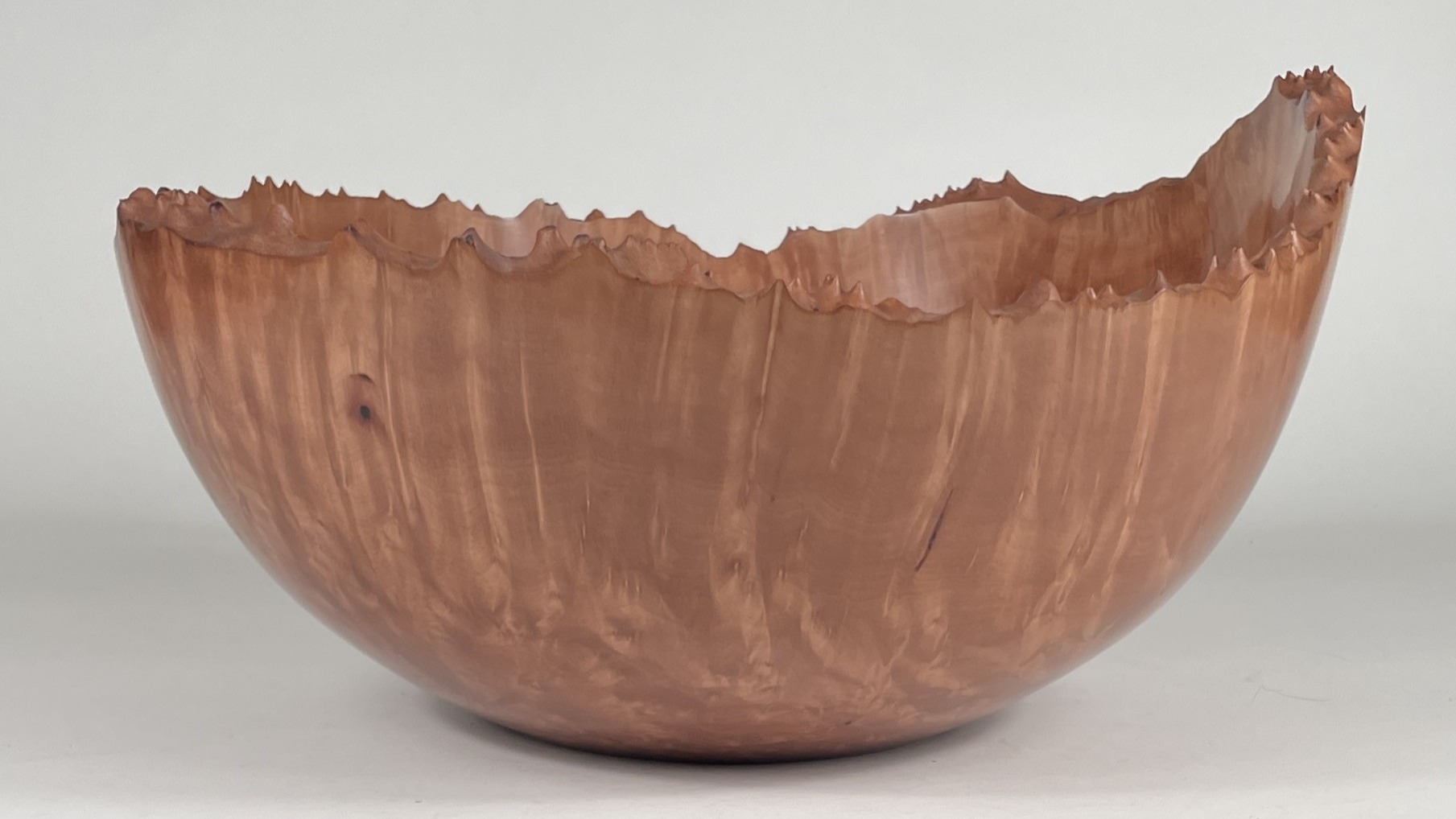 This natural edge Arbutus menziesii bowl will be crossing the Strait of Georgia to the home of a beautiful couple. After a process of elimination they selected the rough turned blank from our inventory and left it with us to complete. Being a live edge the rim is not undercut but the wall thickness quickly reduces to less than 1/4" the bottom is a little thicker. I fumed the finished bowl with ammonia for 4 days and then finished with tung oil and the Beal buffing system. 17" X 9" The bottom was embellished on the Rose Engine using a vacuum chuck system .
darawoodworks.com