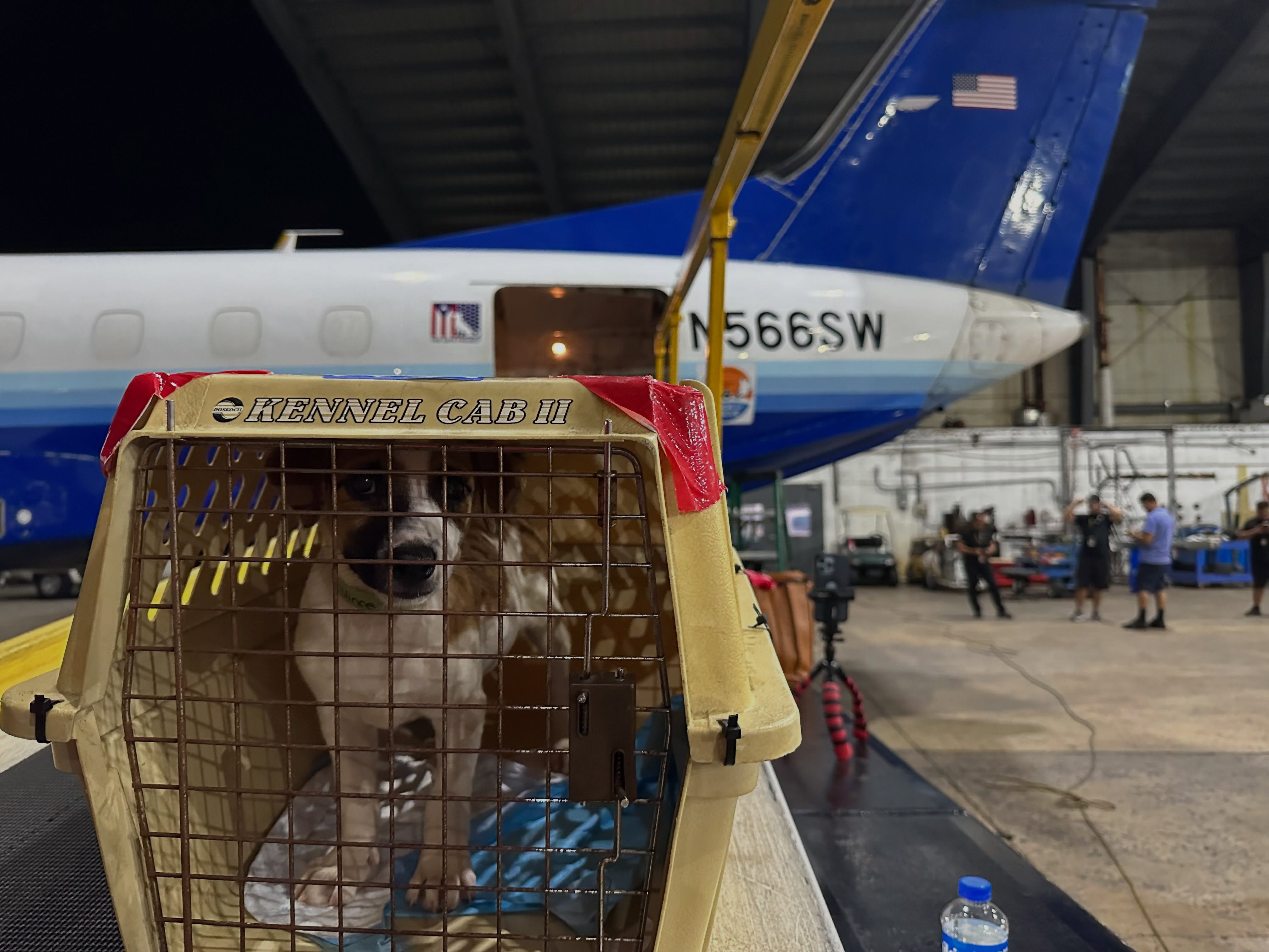 Our September calendar isn’t filled with meetings. It’s filled with flights.
Eight large-scale flights are already on the schedule, with more than 1,000 pets expected to move toward new opportunities.
That’s what this month looks like for us.
Planes moving. Shelter teams coordinating. Pets safely flying out. And a community making every mile possible.
This is what your support sets in motion.
LINK IN BIO
#LetTheFurFly