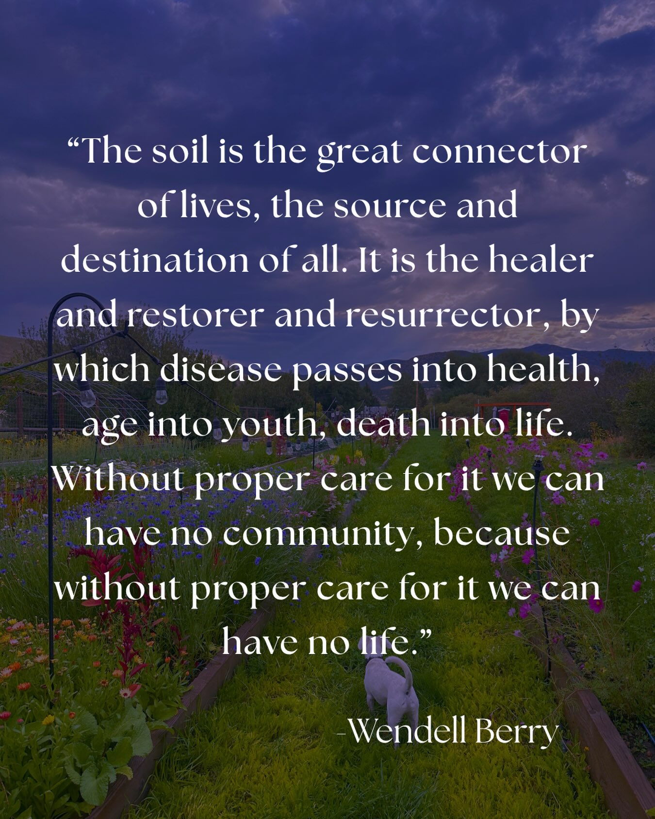 We lost one of agricultures great voices this week. Wendell Berry spent his life teaching us that caring for the soil is caring for each other - a lesson that shapes everything we do at the farm. Thank you for the words, the wisdom, and the reminder to slow down and pay attention