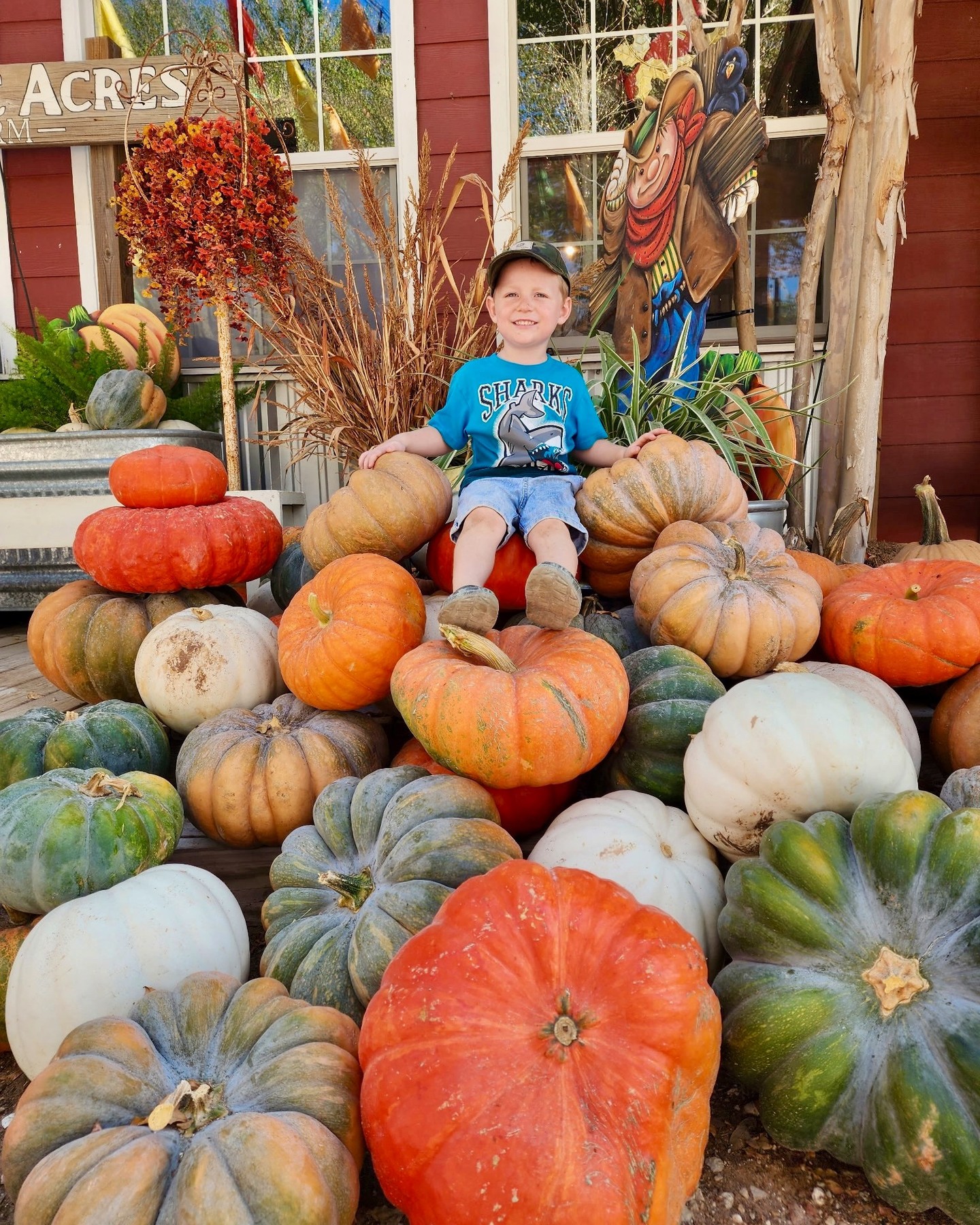 Get ready, San Antonio! Only ONE week away Pumpkin CountryFest kicking off! โจ
We are sooo excited for y'all to see all the new additions coming to the farm this season. Like our Mega Slide, MORE restrooms (they were a hit this spring), another bar, more food areas, new menu items, more photo ops, Zach the Tractor, and more! ๐๐๐
๐ Sept. 26 - Nov. 1 (weekends + Columbus Day)
Plan your visit now & get dibs on the best dates!
๐ devineacresfarm.com/fall-admission