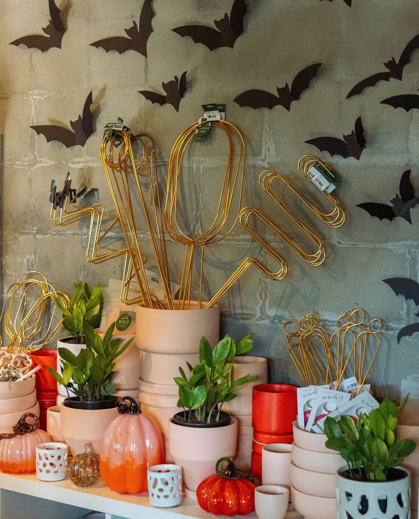 Glass and velvet and wicker... oh my! The shop is covered in pumpkins and colorful fall decor. Shop the Harvest and Halloween collection in the shop and online now at the link in our bio 🔗 🧡
