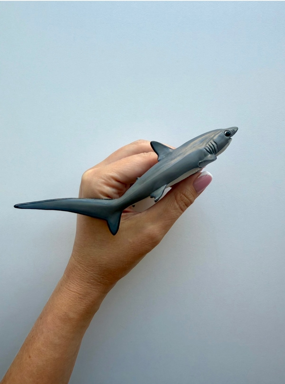 Акула-лисиця PAPO. Ціна 385 грн #sea_animals_svit #акули_animals_svit #фігурки #іграшки