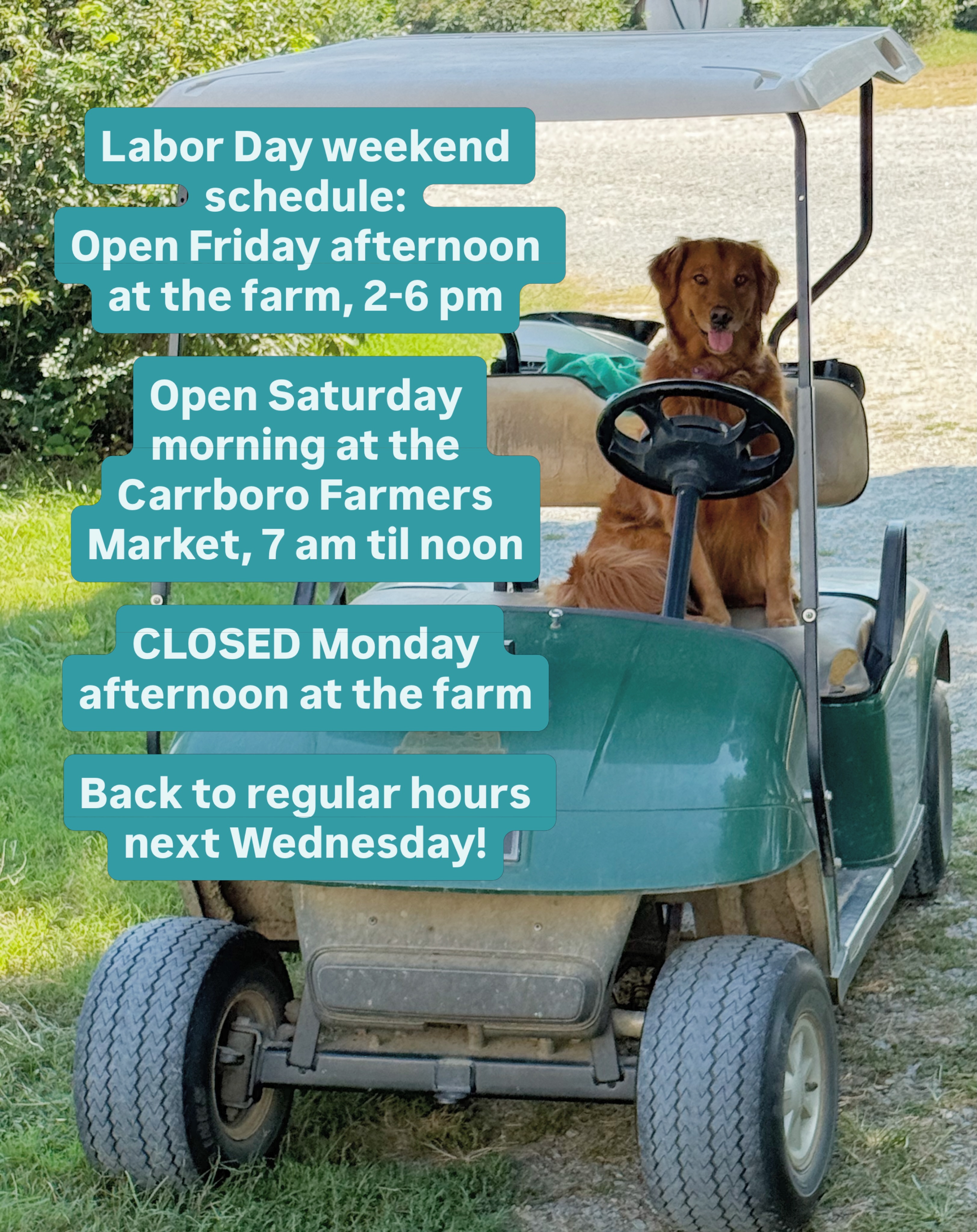 Labor Day weekend schedule:
OPEN Friday afternoon at the farm stand, 2-6 pm
OPEN Saturday morning at the Carrboro Farmers Market
CLOSED Labor Day Monday at the farm
OPEN Wednesday on, regular hours.