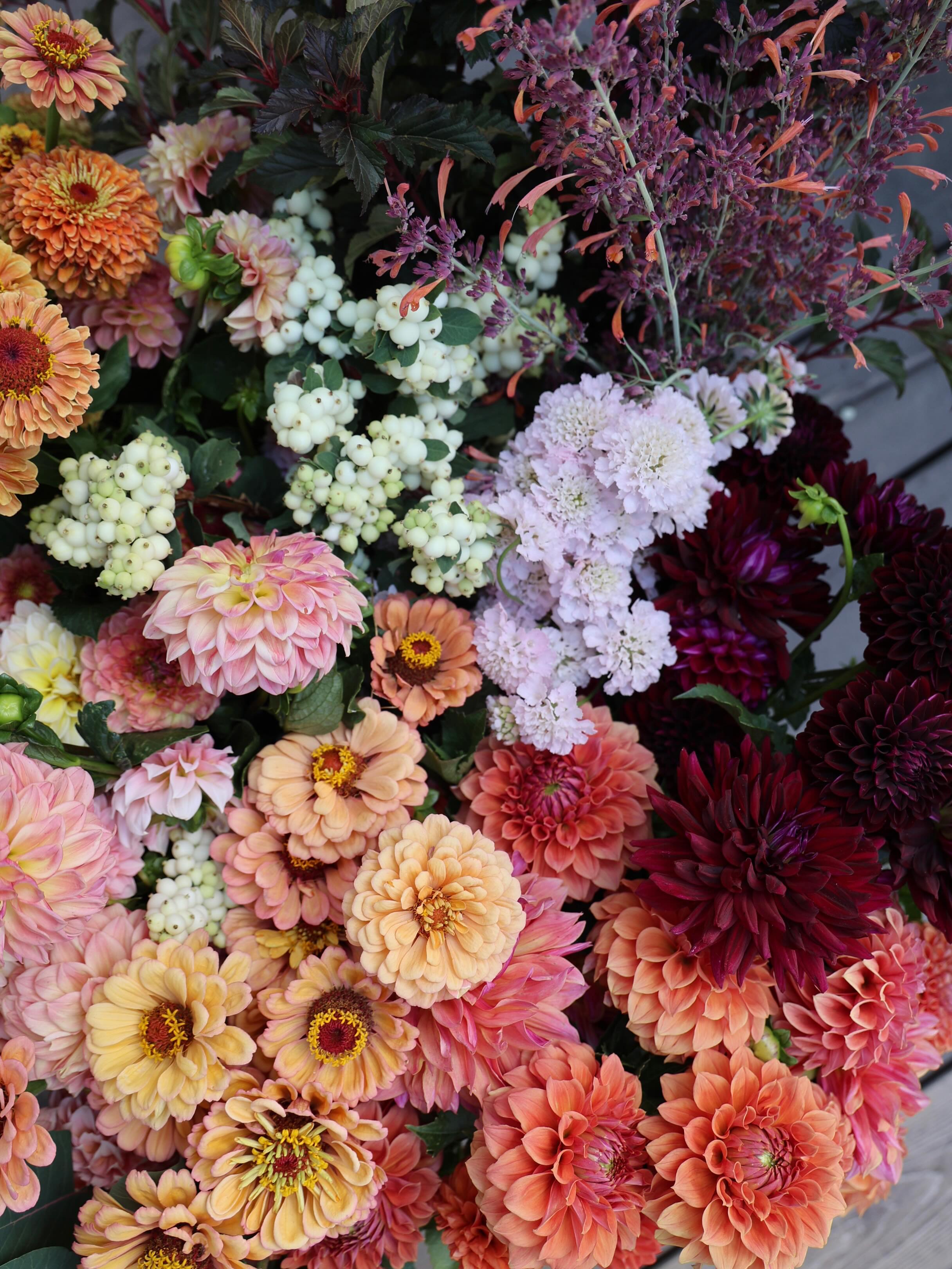 Just can’t get enough of fall and all her beautiful colors