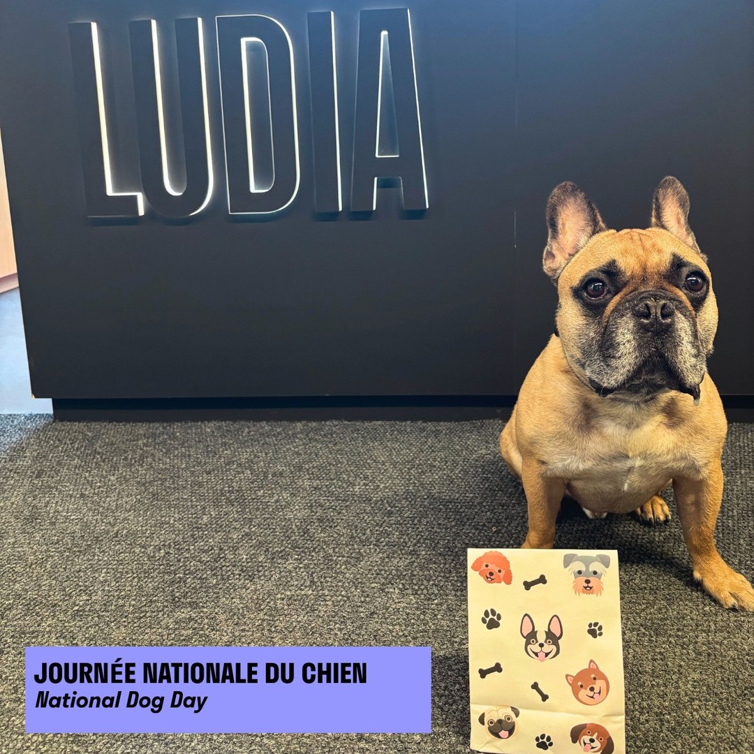 🐾 NATIONAL DOG DAY
In honour of National Dog Day, our four-legged Ludians got a little extra love (and some special treats) during last week’s Doggo Tuesday!
Our pups may already be regulars around the studio on Tuesdays, but we’ll take any excuse to celebrate our favourite furry coworkers.
#NationalDogDay #DoggoTuesdays #LudiaLife #DogsAtWork #MontrealStudio