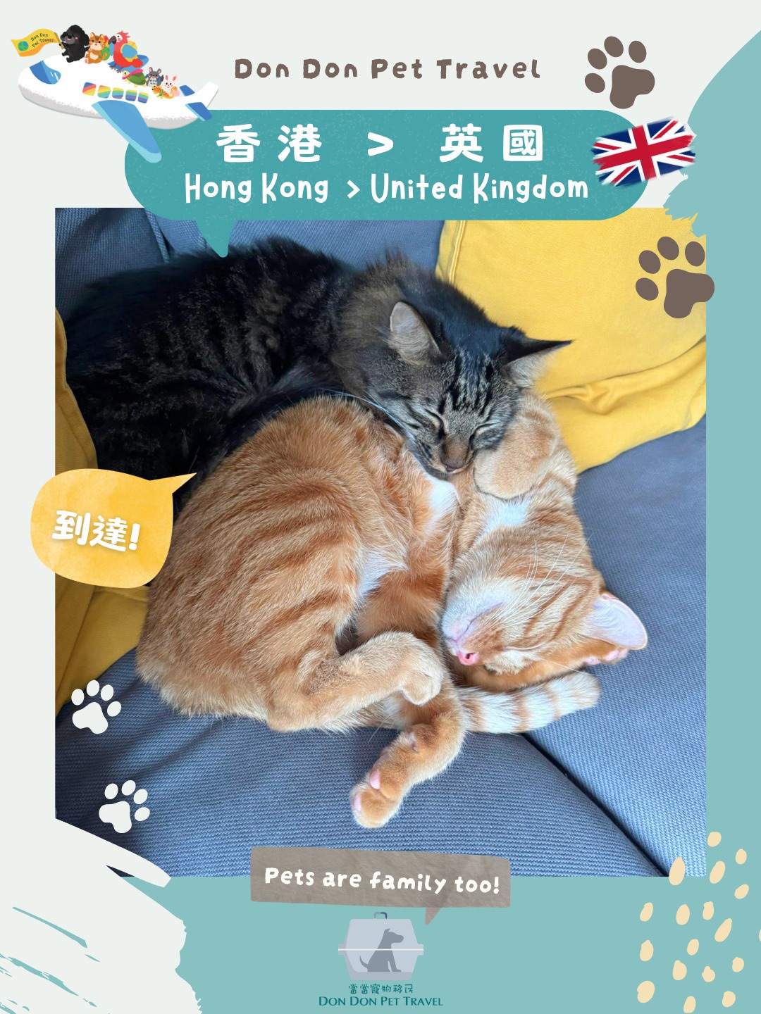 【🐱🐱🐱🐱 DaDa, Choobi, Mui, Ah Dee到達英國】 🇭🇰✈️🇫🇷🚙🇬🇧
對於多寵物家庭而言 , 揀選合適航線、規劃飛機籠分配係好緊要
就好似 2 位主人要帶四隻貓貓 DaDa, Choobi, Mui, Ah Dee 移民 ,
由於其中一隻貓貓較重 , 好彩佢地日常相處融洽
我地係符合航空公司規定下 , 幫佢地plan左最合適既航線同飛機籠分配
確保 4 隻貓貓順利抵達目的地~
#domesticshorthair
我哋提供專業的一站式寵物移民服務✈️
查詢請直接WhatsApp : 9440 4933
———————————————
營業時間: Mon-Fri 10am-6pm
Website: www.dondonpettravel.com
#petrelocation #移民香港 #寵物移民 寵物移民公司 dondonpettravel