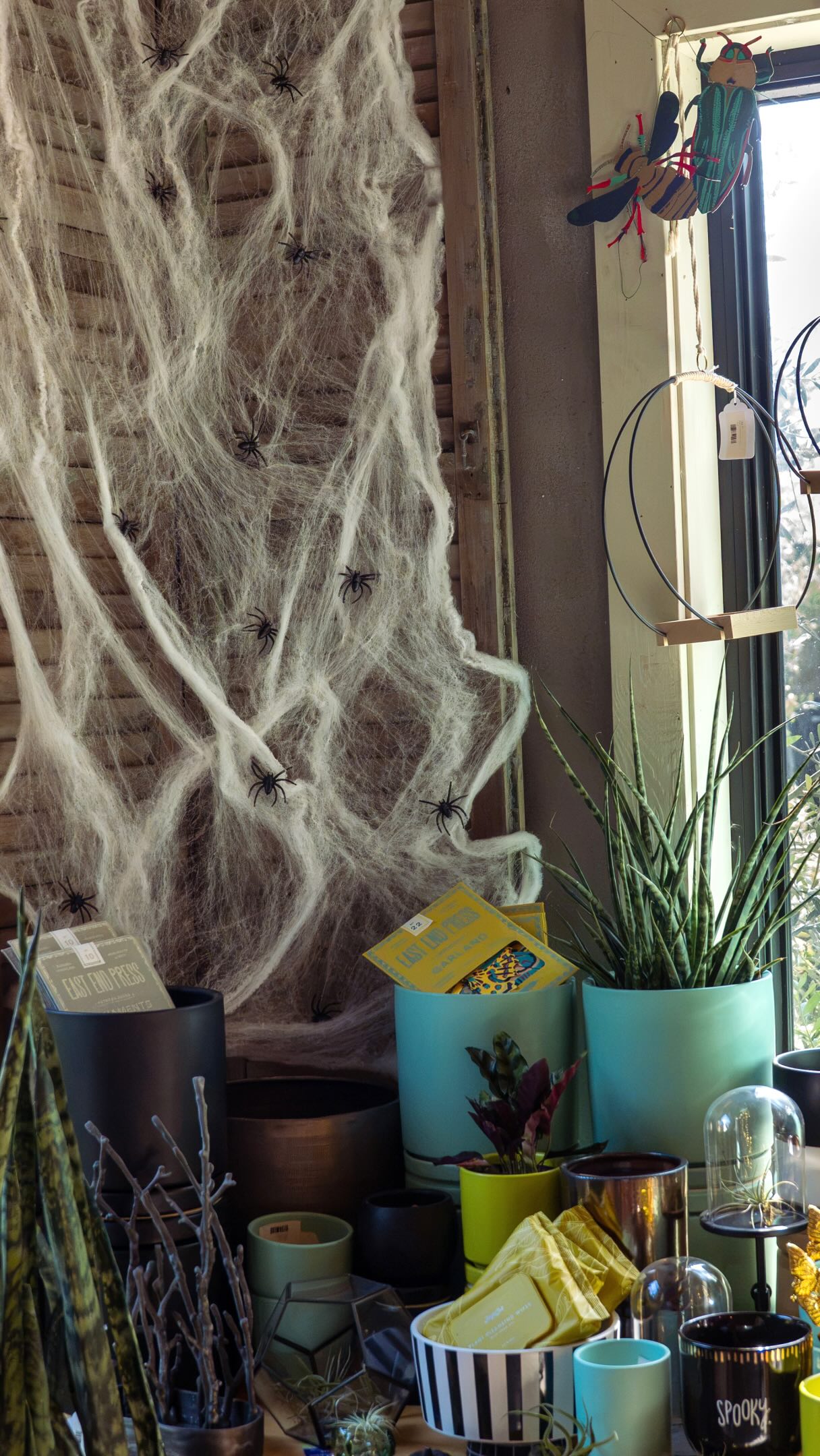 Can spooky season start in September? 👻 Our new bugs and books say yes! Find new creepy cuties or witchy and wonderful reads in the shop and online.