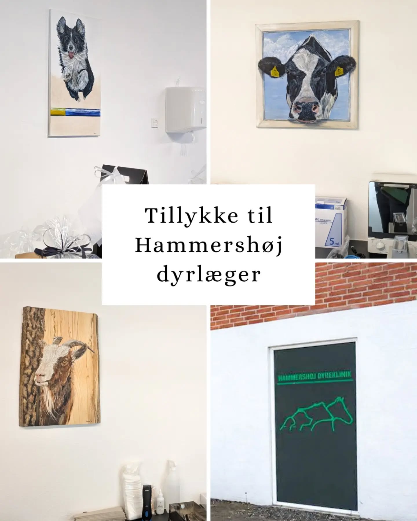Jeg kommer lige fra åbnings reception hos Hammershøj Dyrlæger. Sikke en smuk ny klinik de har! Jeg er utrolig stolt over, at min kunst får lov til at sætte lidt farve på væggene. Stort tillykke med den nye klinik Hammershøj Dyrlæger!
Ps. Til mine følgere: Alle malerier på billedet er til salg 🙂
#danskkunst #dyridanmark #dyrlæge #hundeliv #ko