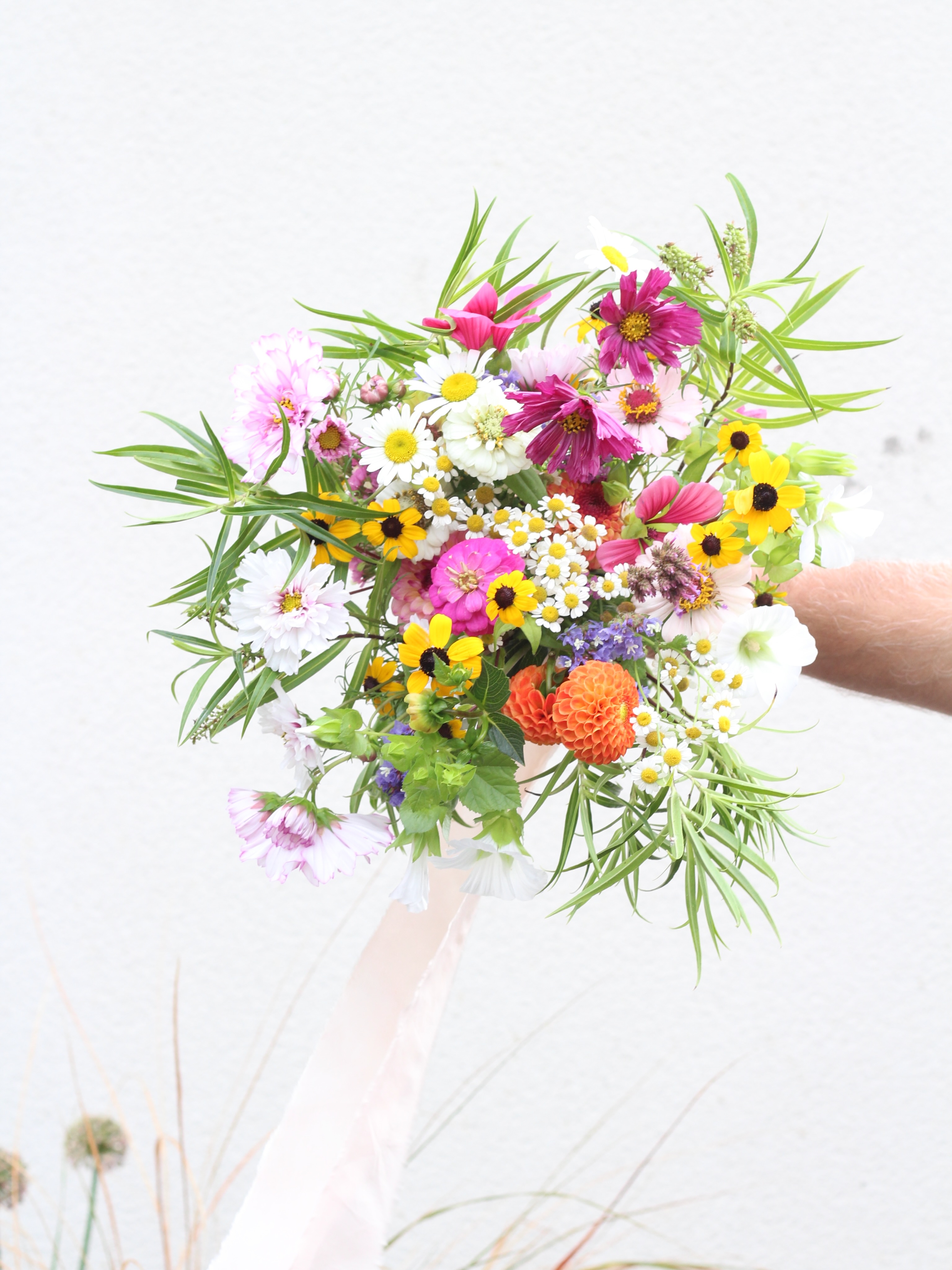 Congratulations to Tuesday and Lewis who married on Saturday at the beautiful @mello.view π the day started with torrential rain and these bright bouquets, buttonholes and buckets were delivered in the deluge but it brightened up for all the celebrations π
The brief was colour and delicate wildflower style flowers so lots of cosmos, daisies, small dahlias, zinnias, malope and rudbeckia. Thanks to Katy @wildroseandbramble for extra stems πΈ
#wildflowerwedding #whimsicalwedding #colourfulbouquet #somersetwedding #growninsomerset