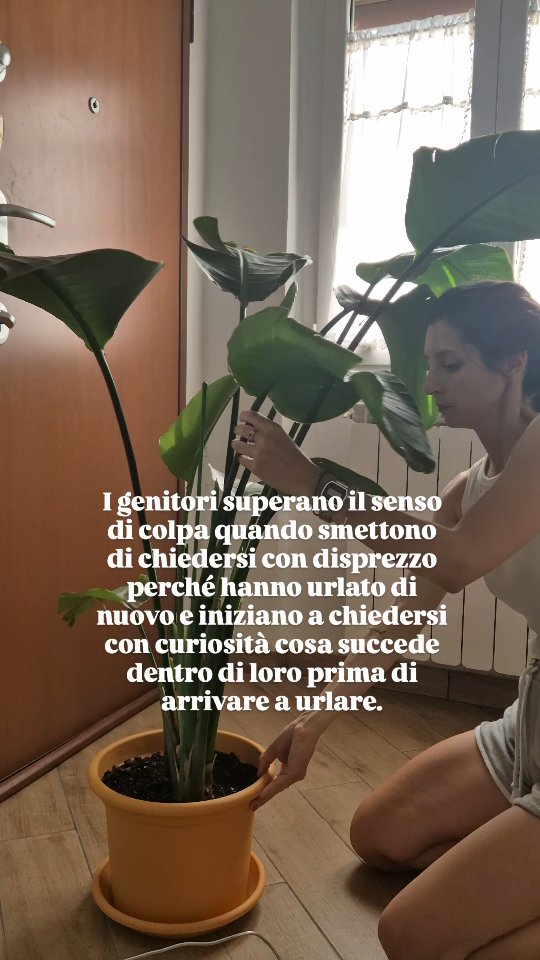 Hai urlato di nuovo.
Avevi promesso a te stessә che oggi saresti riuscitә a mantenere la calma, che questa volta avresti respirato prima di rispondere.
Ma poi qualcosa ha preso il sopravvento, hai perso la pazienza e subito dopo ti sei ritrovatə con il solito loop mentale che ha la voce della vergogna e della colpa: «Ecco, l’ho fatto ancora. Non dovevo reagire così. Sono pessimә»
Il senso di colpa ci porta proprio a giudicare quello che abbiamo fatto quando ormai è successo. E possiamo passare moltissimo tempo a ripeterci che avremmo dovuto comportarci diversamente, senza per questo però arrivare a capire cosa ci ha portatә fino a quel punto.
Per questo c’è una domanda che trovo molto più interessante: "cosa succede dentro di te quando stai per perdere la pazienza?"
Forse prima dell’urlo c’erano già stanchezza, fretta, appuntamenti, richieste? Forse il tuo corpo ti stava mandando segnali che hai ignorato perché dovevi andare avanti? Forse quella reazione si ripete in alcune specifiche situazioni?
Guardardare con curiosità questa reazione ti permette di iniziare a conoscere quel meccanismo, invece di accorgertene soltanto quando è già esploso.
La prossima volta che senti salire quella sensazione, prova semplicemente a notarla. Non devi necessariamente riuscire a fermarla subito ma puoi innescare già un piccolissimo cambiamento nel vedere qualche secondo prima qualcosa che, fino a ieri, vedevi soltanto dopo.
Reel ispirato da un contenuto di @psicologa_antonella_calabrese