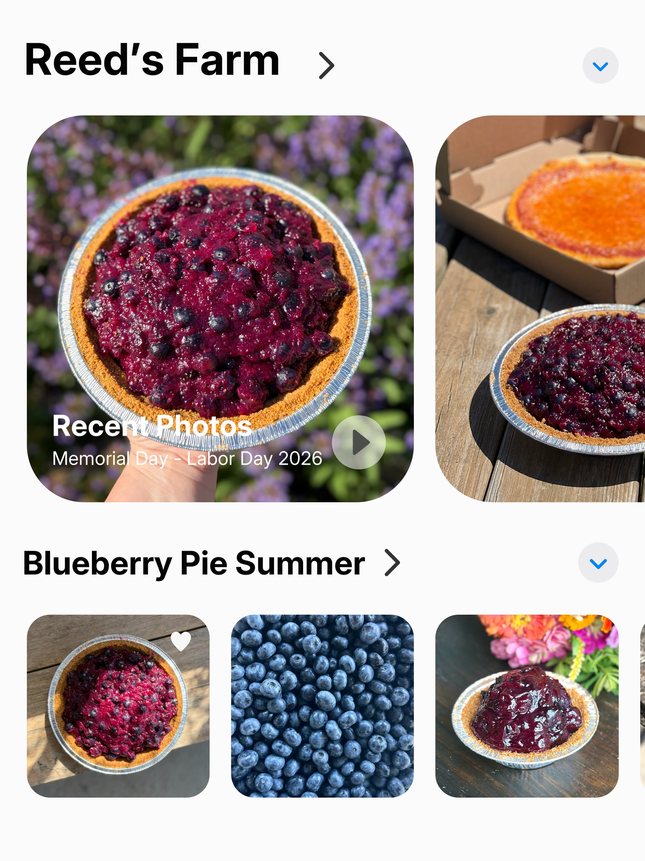 POV: Your camera roll after another amazing blueberry pie summer 🫐 This weekend is the last weekend for pies! Pies are first come, first serve and cannot be held. We recommend getting to the market at 9am!
